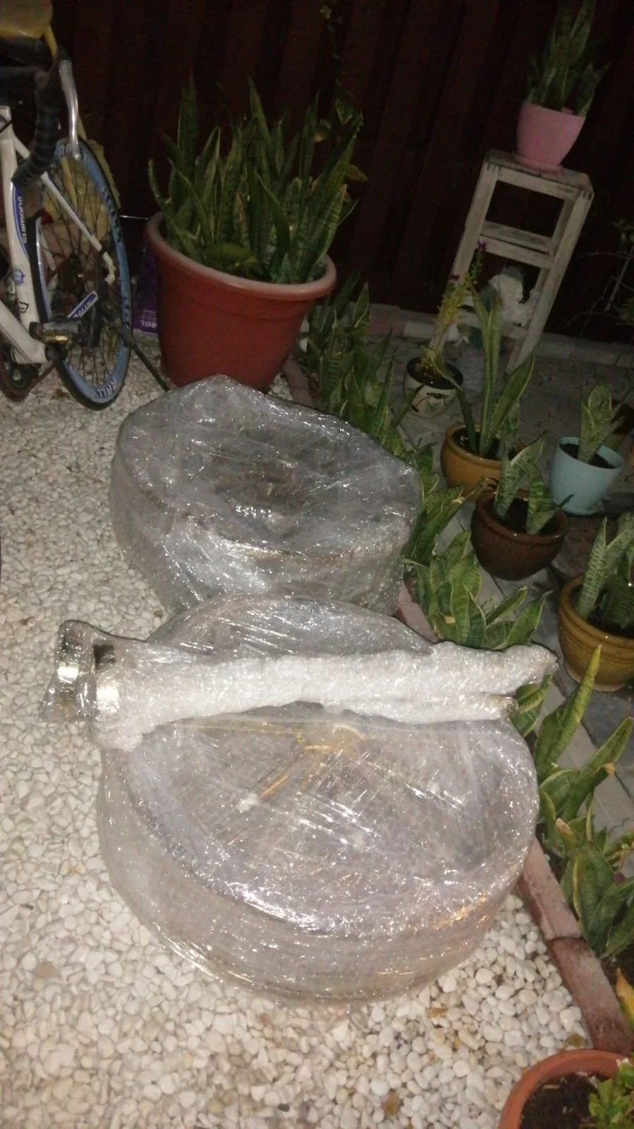 WhatsApp Image 2025-07-02 at 9.35.41 PM.jpeg