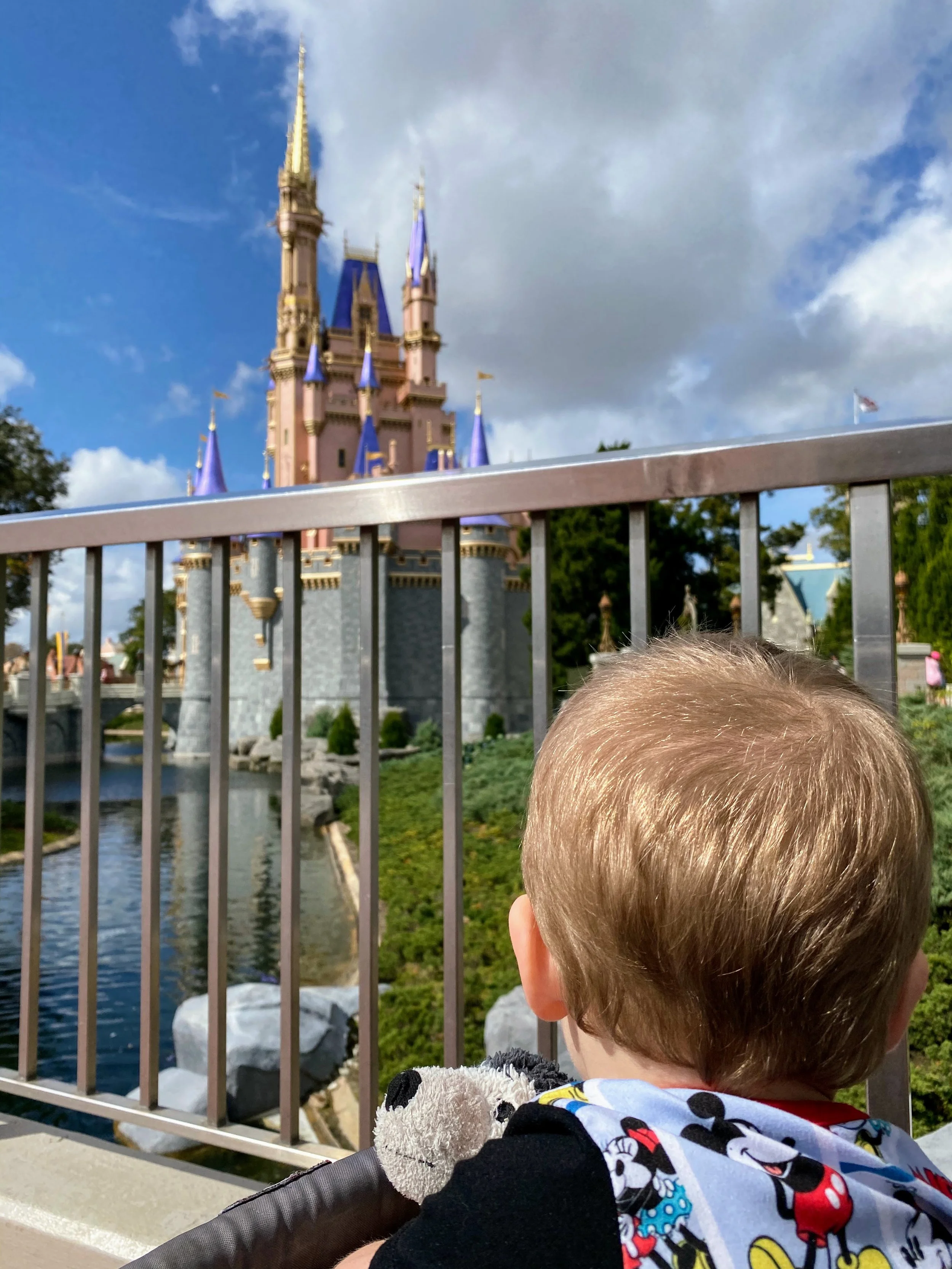 Disney with Toddlers: Top Survival Strategies