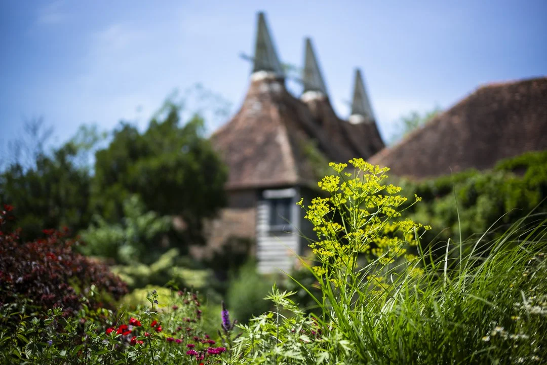 Great Dixter Garden, Sussex.
