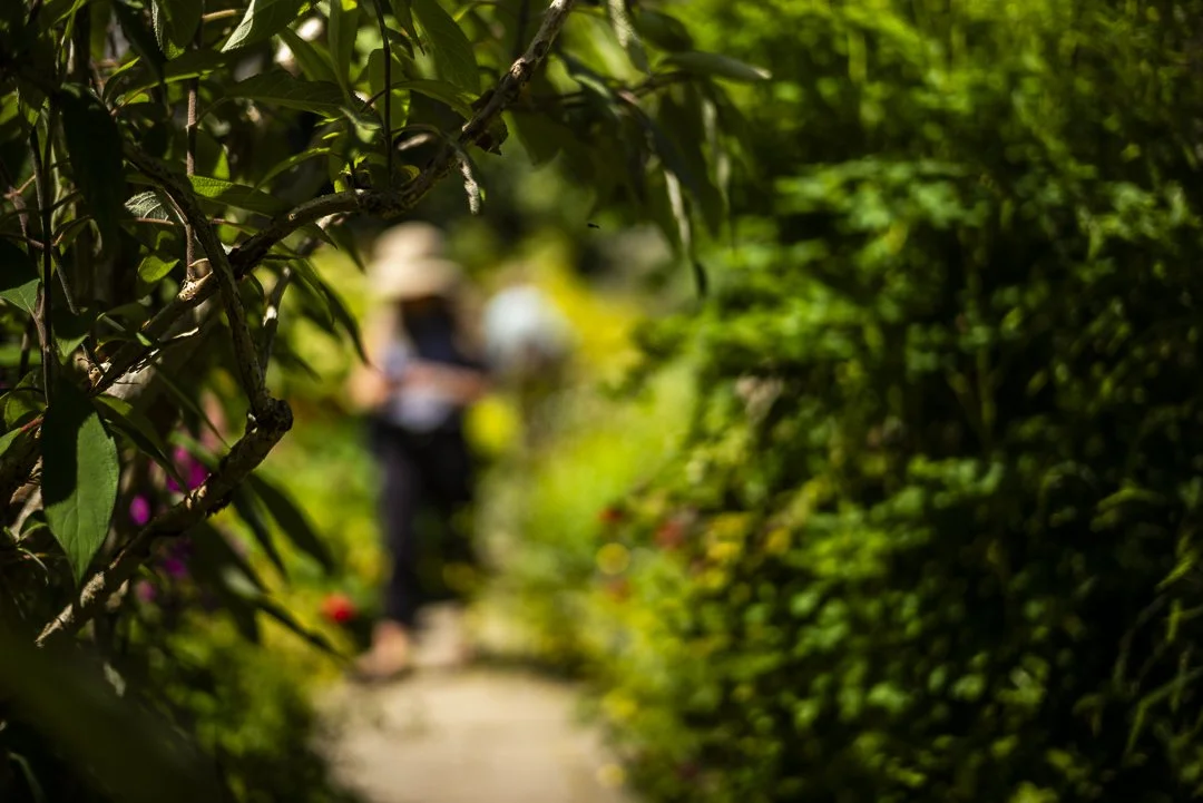 Figures, Great Dixter Garden, Sussex.