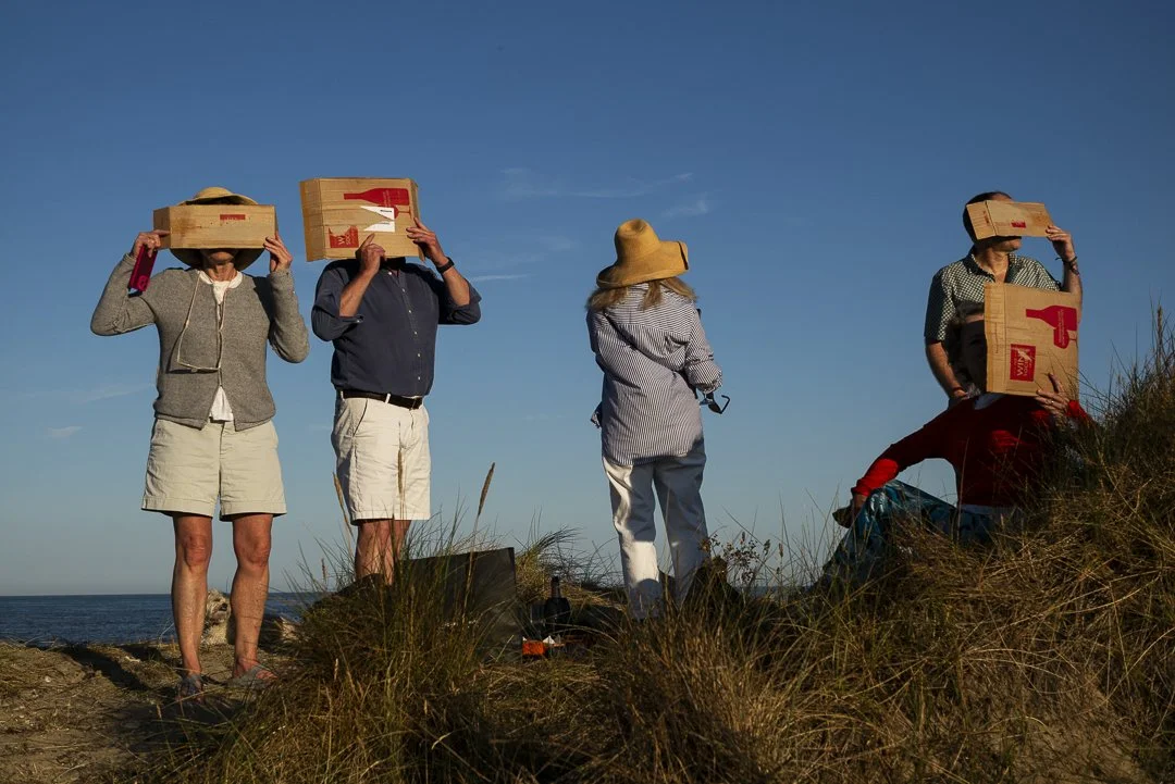 Eclipsed - Walberswick beach
