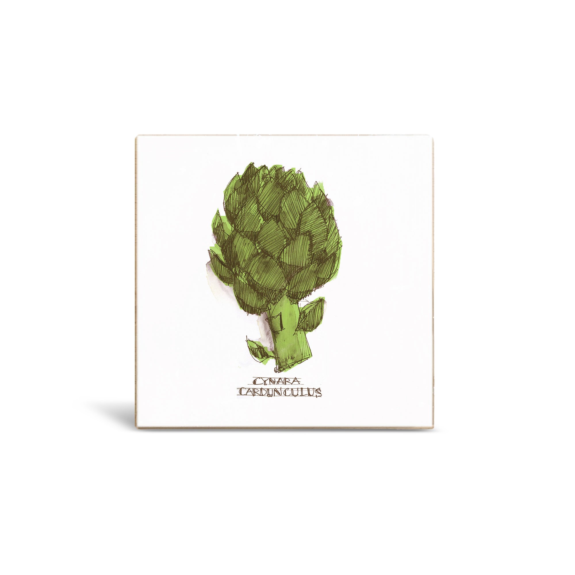 Artichoke