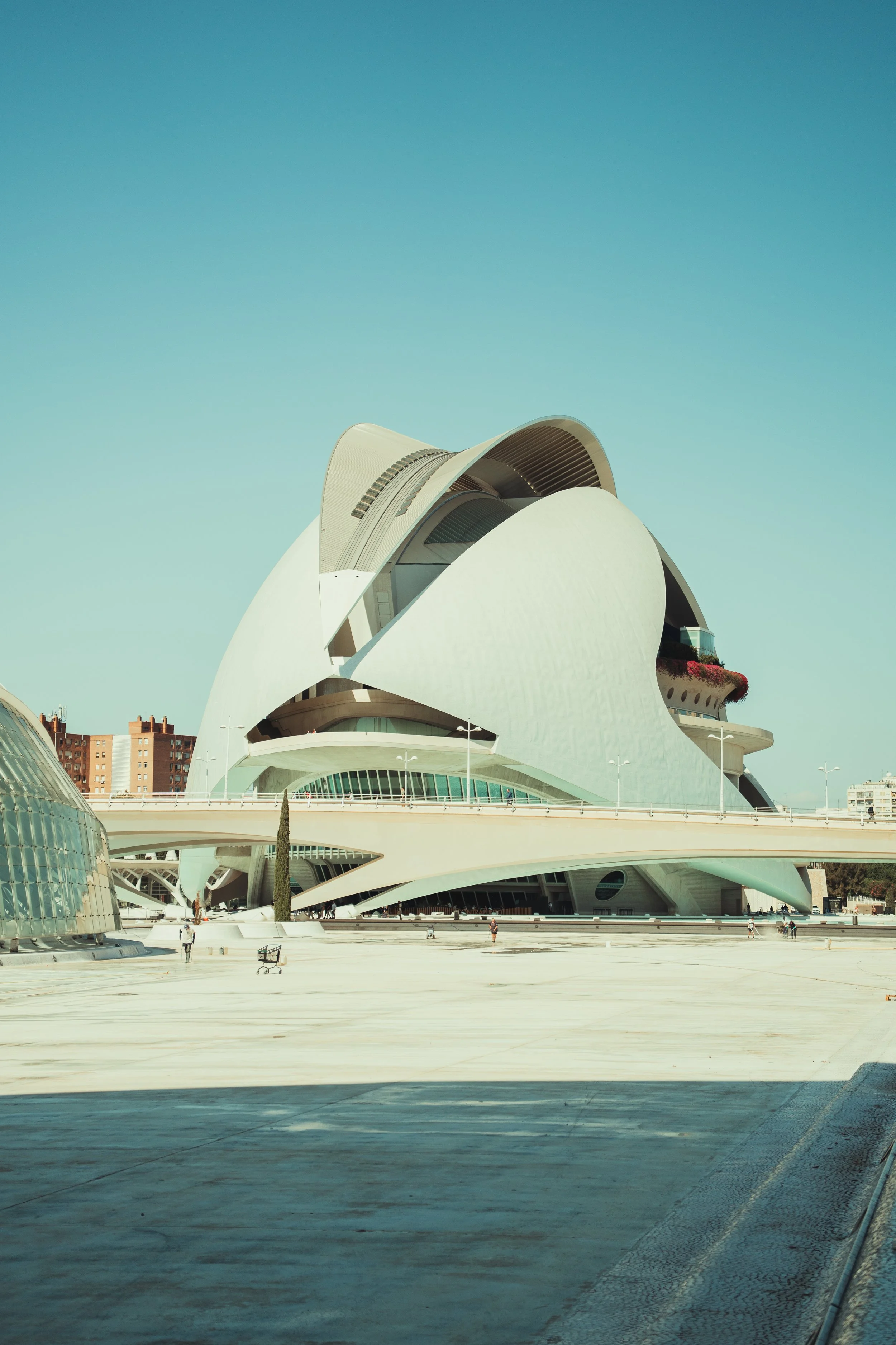 We Are Local Valencia