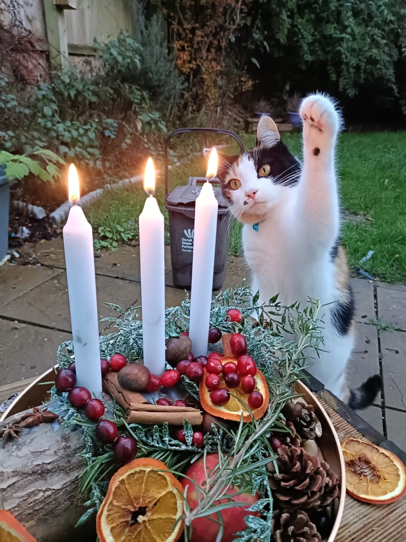 General 2 — Lucy Ruddle IBCLC