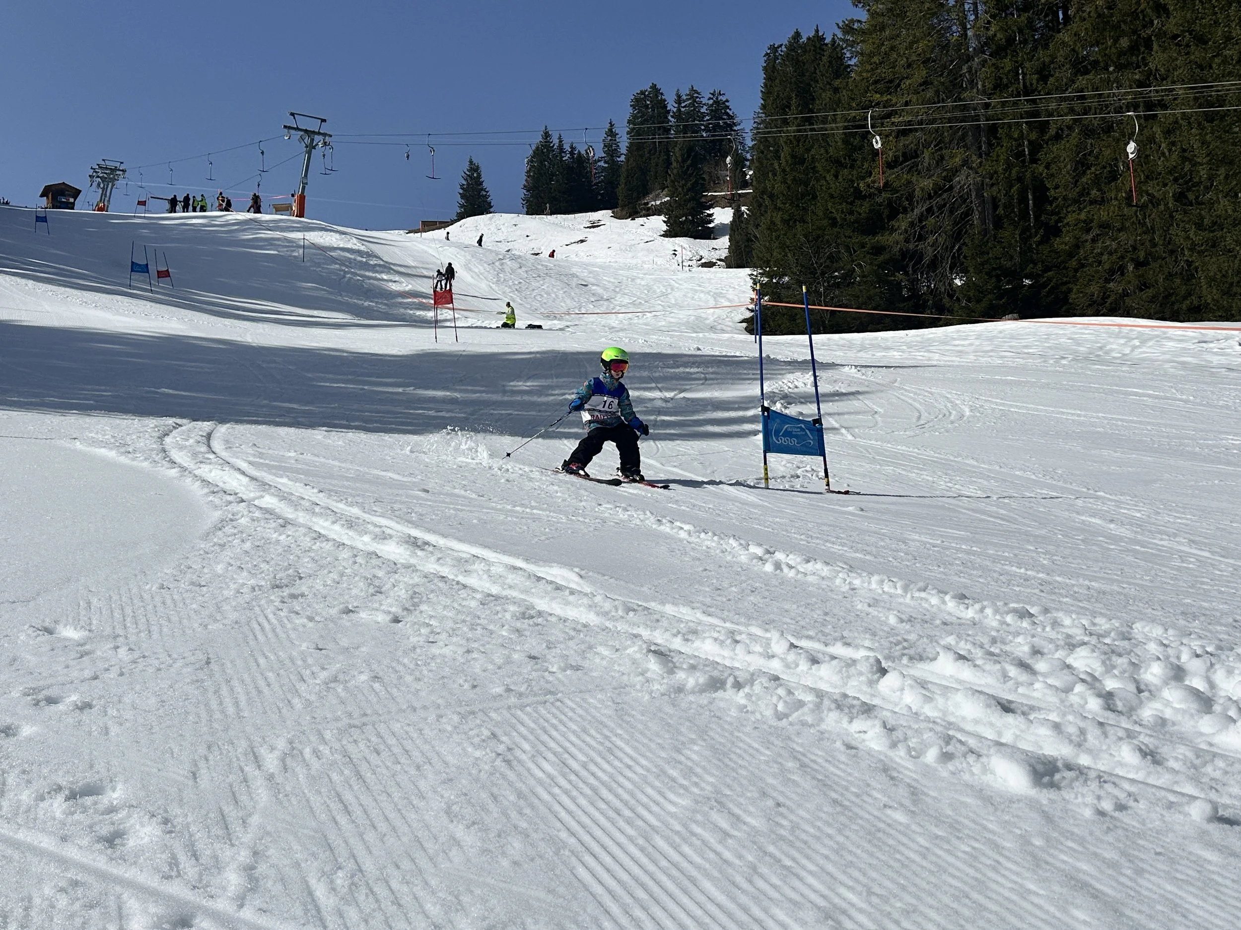 2026-03-07 11.25.48.jpg