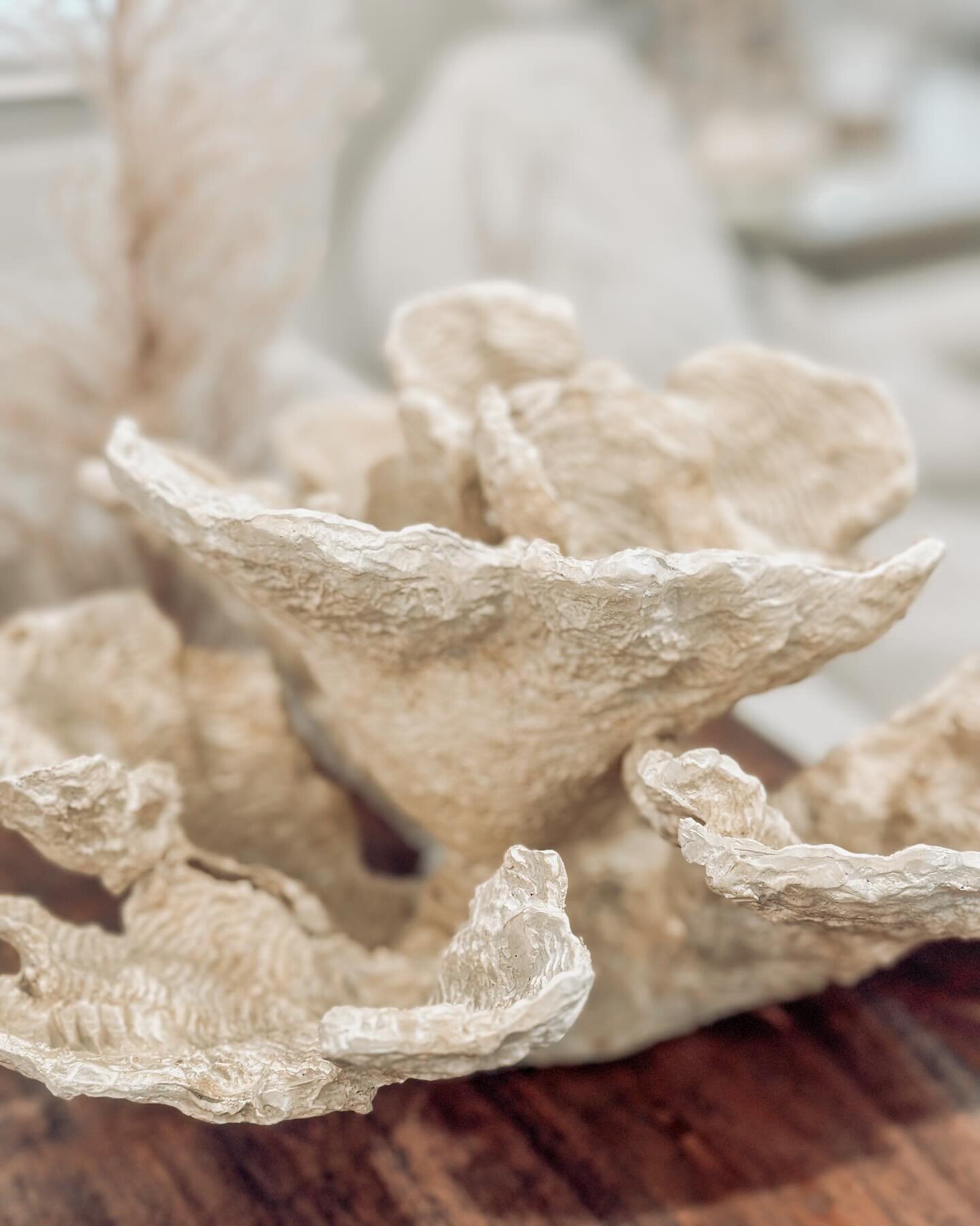 Coastal inspired decor ✨

#homedecor #homedesign #interiordesign #30a #beachwalkvacations #beachhouse #beachhousedecor #tips #seashells #seashore #shells #rentalhomes #inspiration