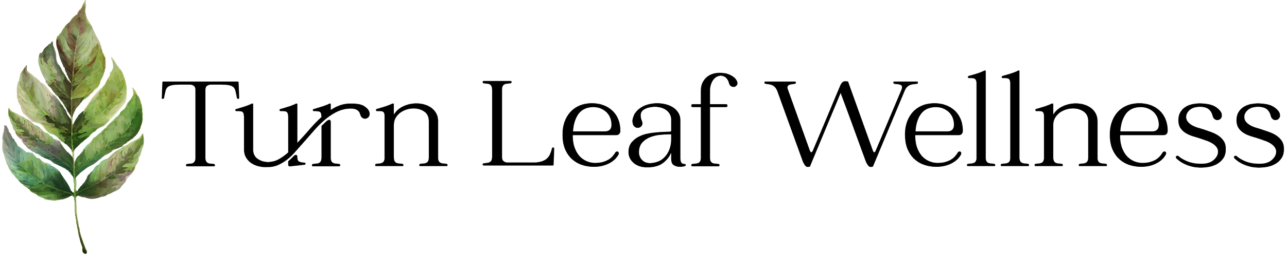 Logo with a green leaf on the left and the text 'Tuni Leaf Wellness' in black, stylized font.