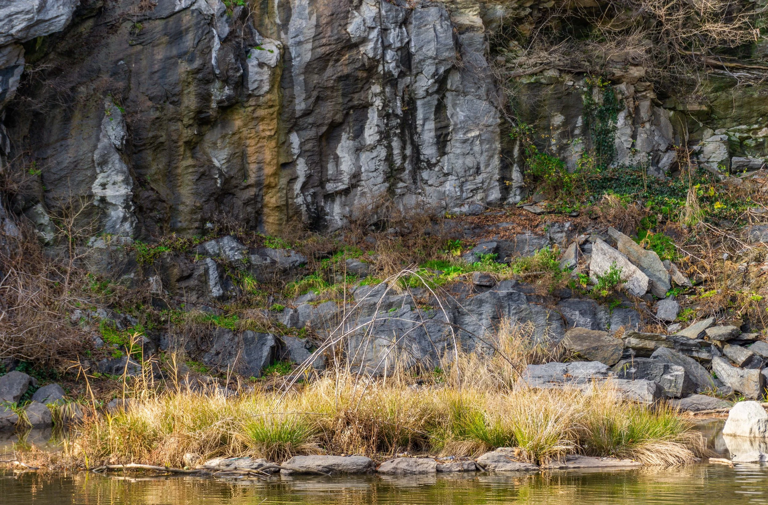 Morningside Park. Designation Date: July 15, 2008. Photo by Lorraine Colbert
