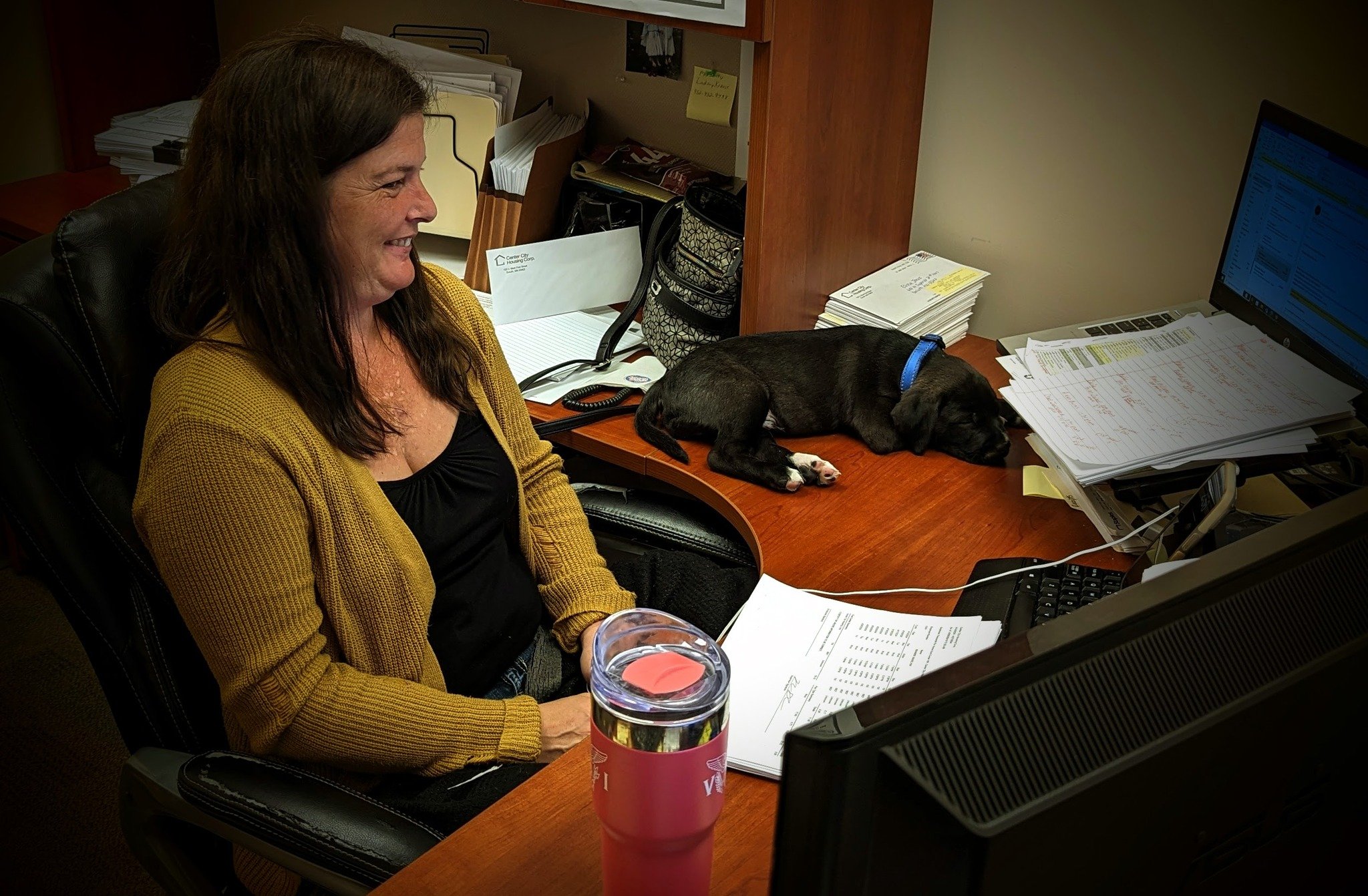 Cash, the puppy, thinks power naps are necessary before hitting those spreadsheets. We've all been there, Cash. Our awesome finance team stayed awake, though.
#AffordableHousing #puppyoftheday #puppies #duluthmn #mondaymood