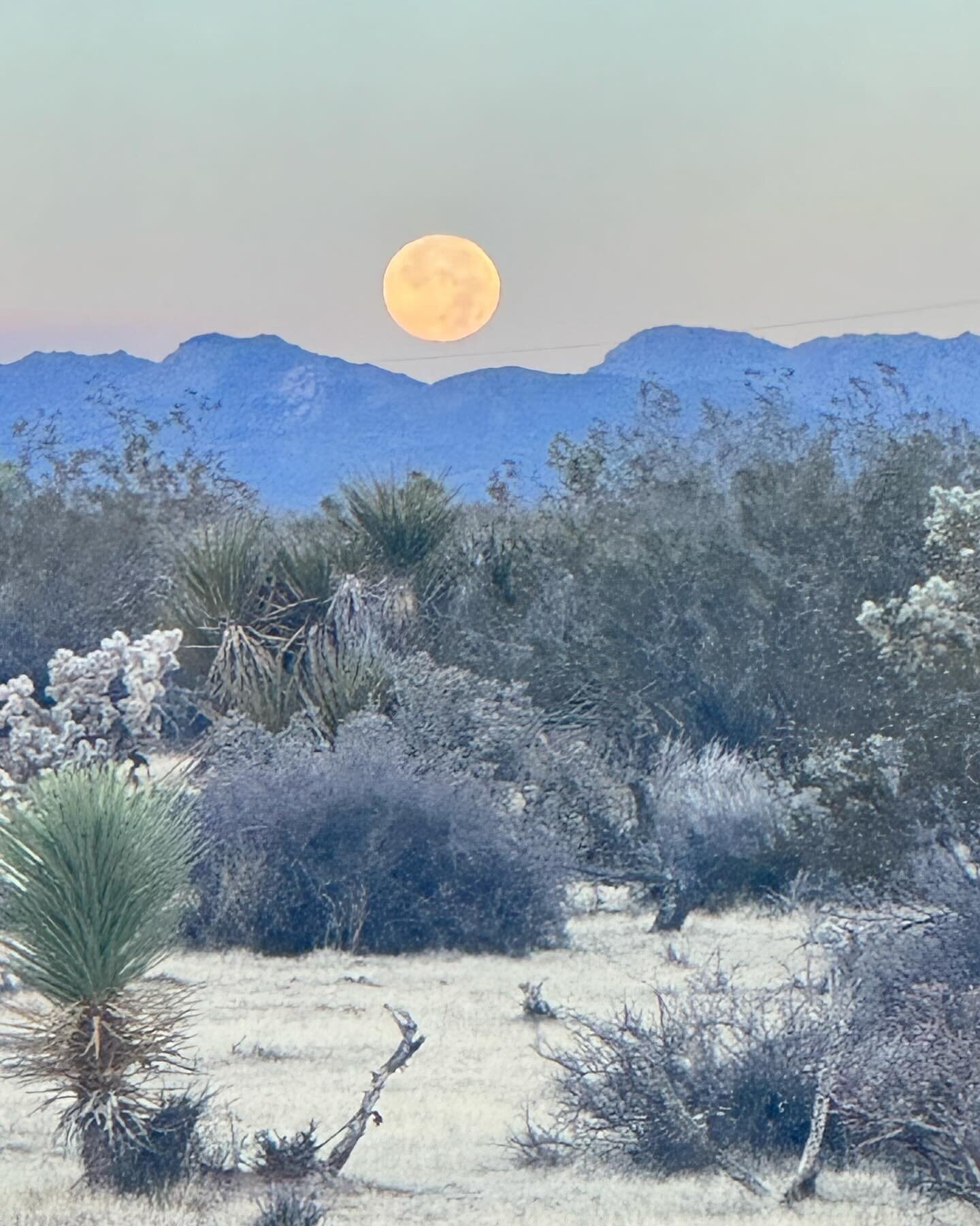 Full Moon in Gemini setting in the morning light of the Mojave 
So grateful for the magic of nature to balance the madness of our world. 
Blessings ✨✨🌕✨✨
#fullmoongemini #nofilter #blessingsandgratitude