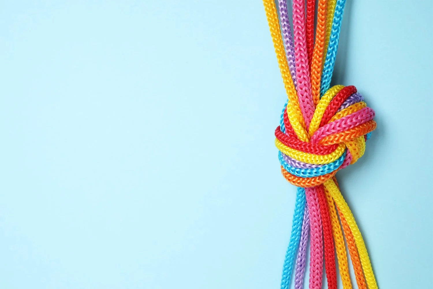 Every Monday Matters Education - Monday Gets Connected - Grades 3-5