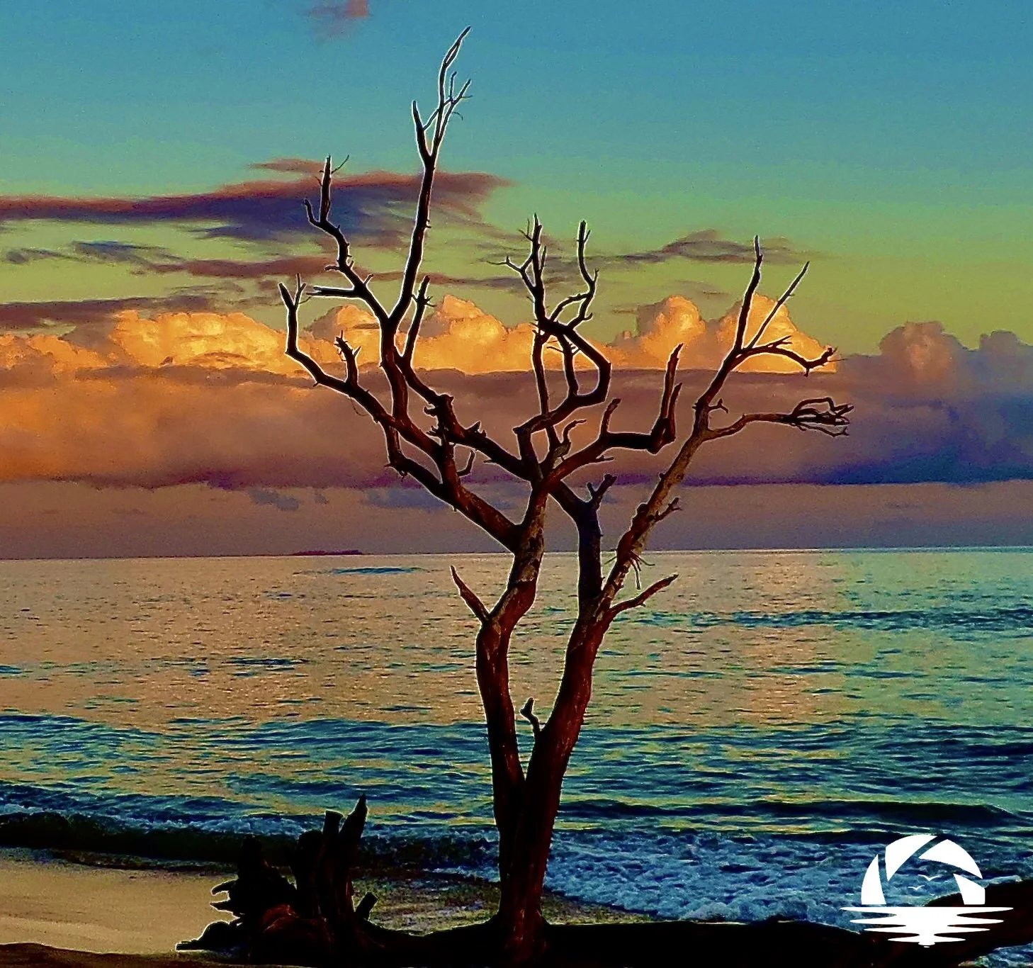 Hawaiian Sunset #1