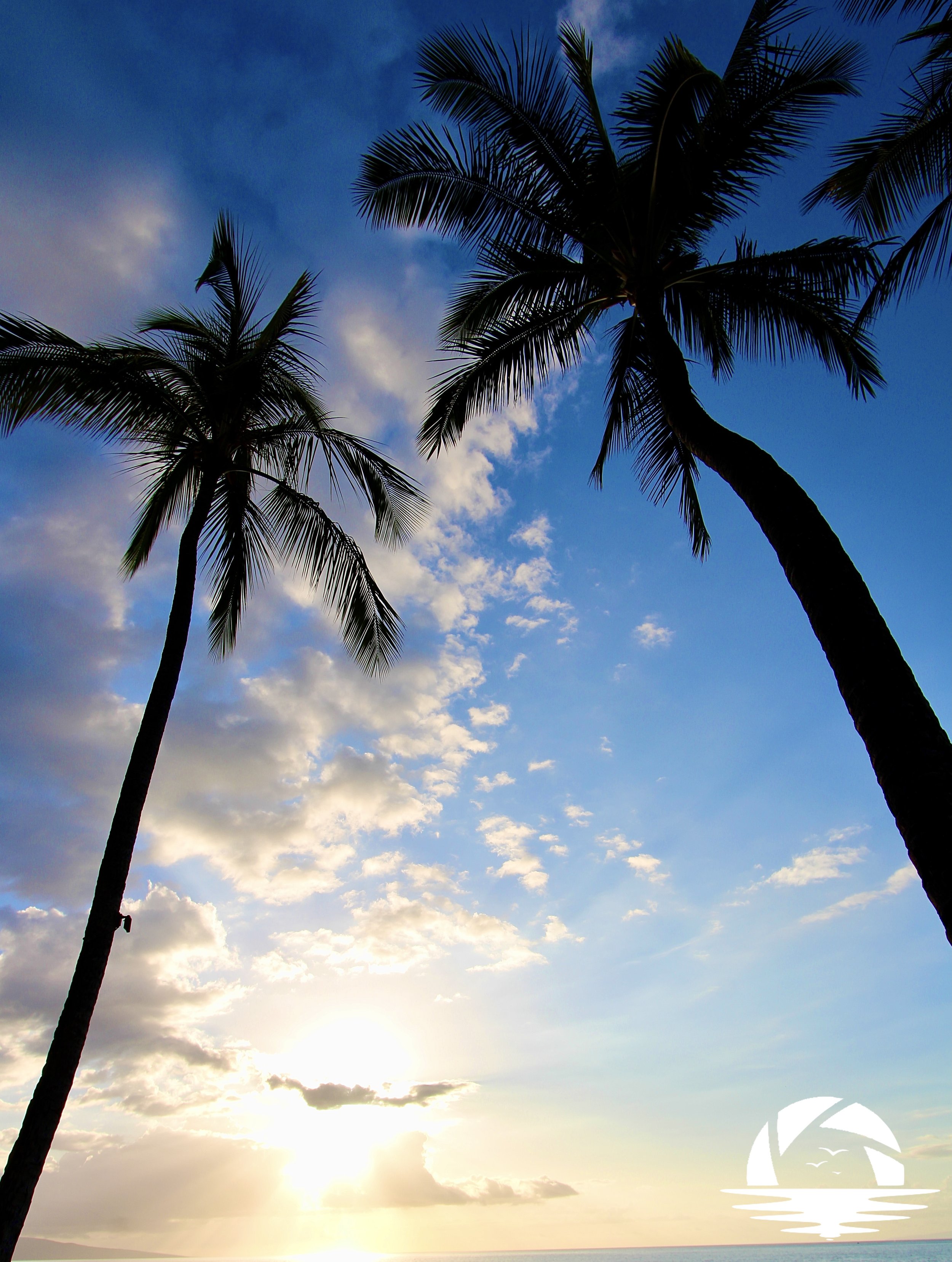 Hawaiian Sunset #5