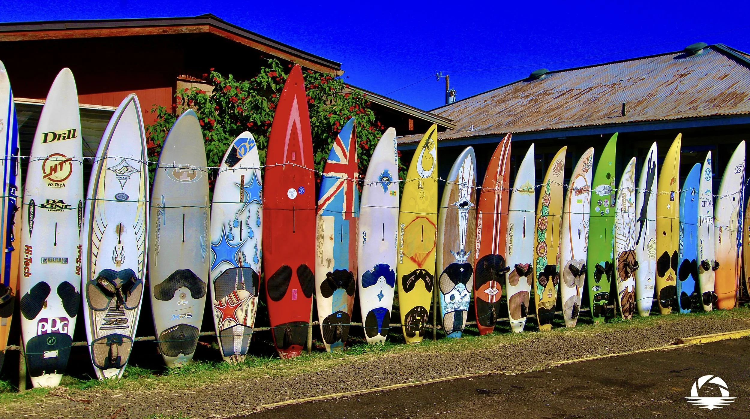 Hawaiian Beach #12