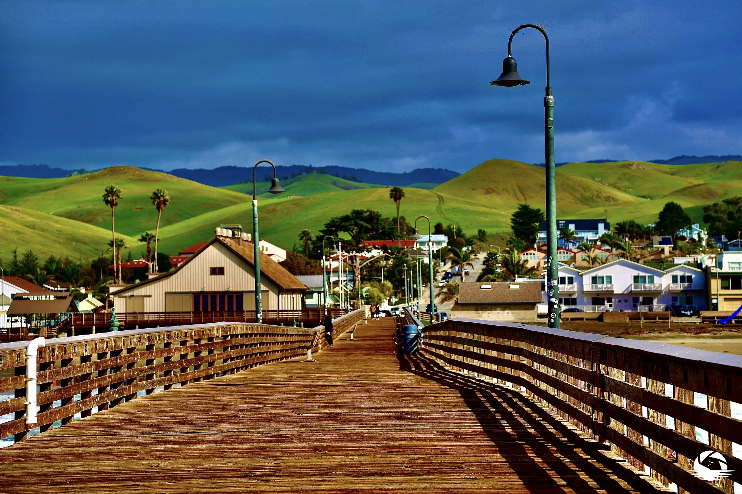 Central Coast Beach #3