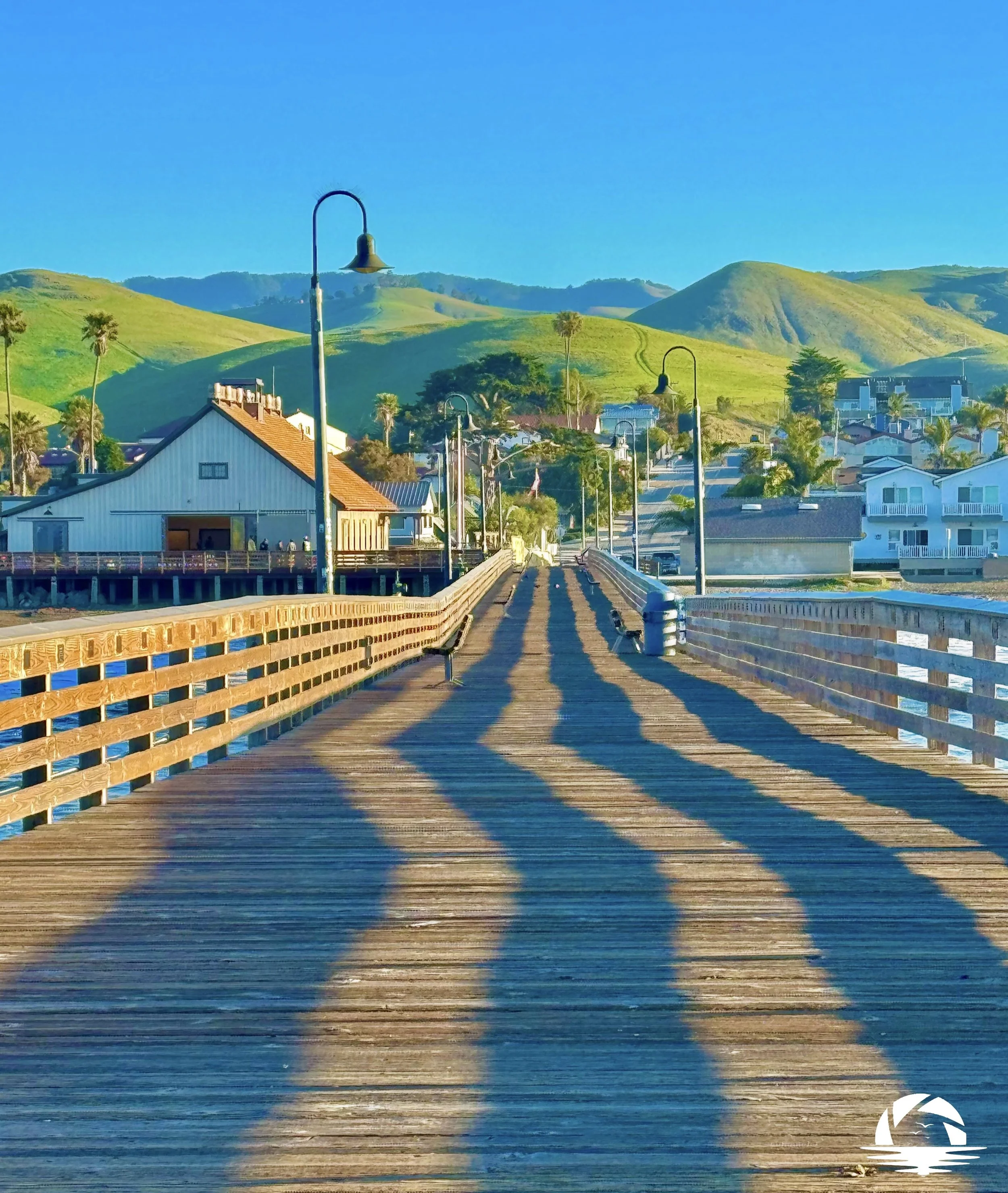 Central Coast Beach #4