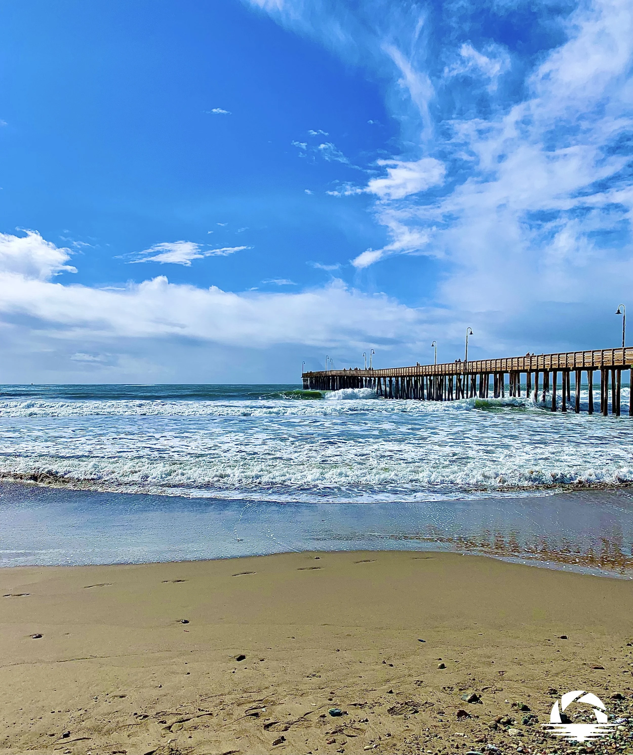 Central Coast Beach #9