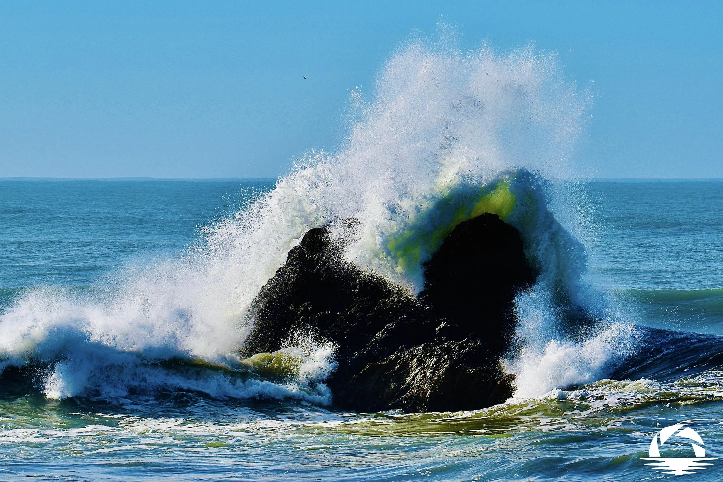 Central Coast Beach #13