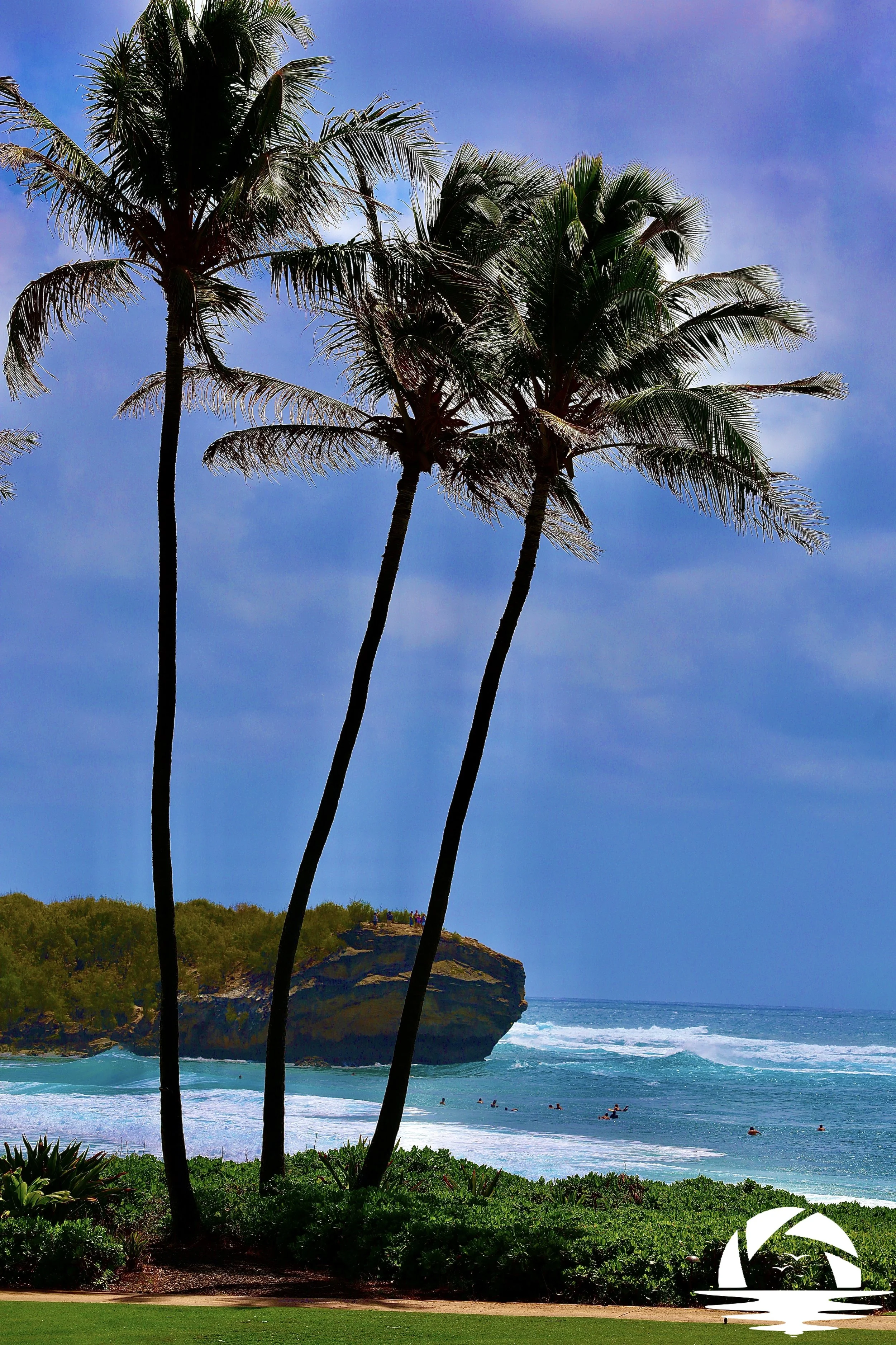 Hawaiian Beach #2