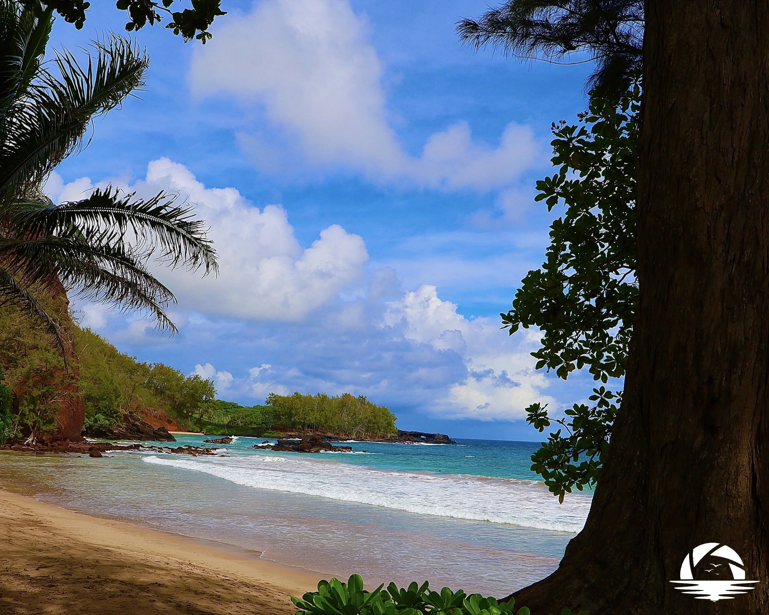 Hawaiian Beach #3