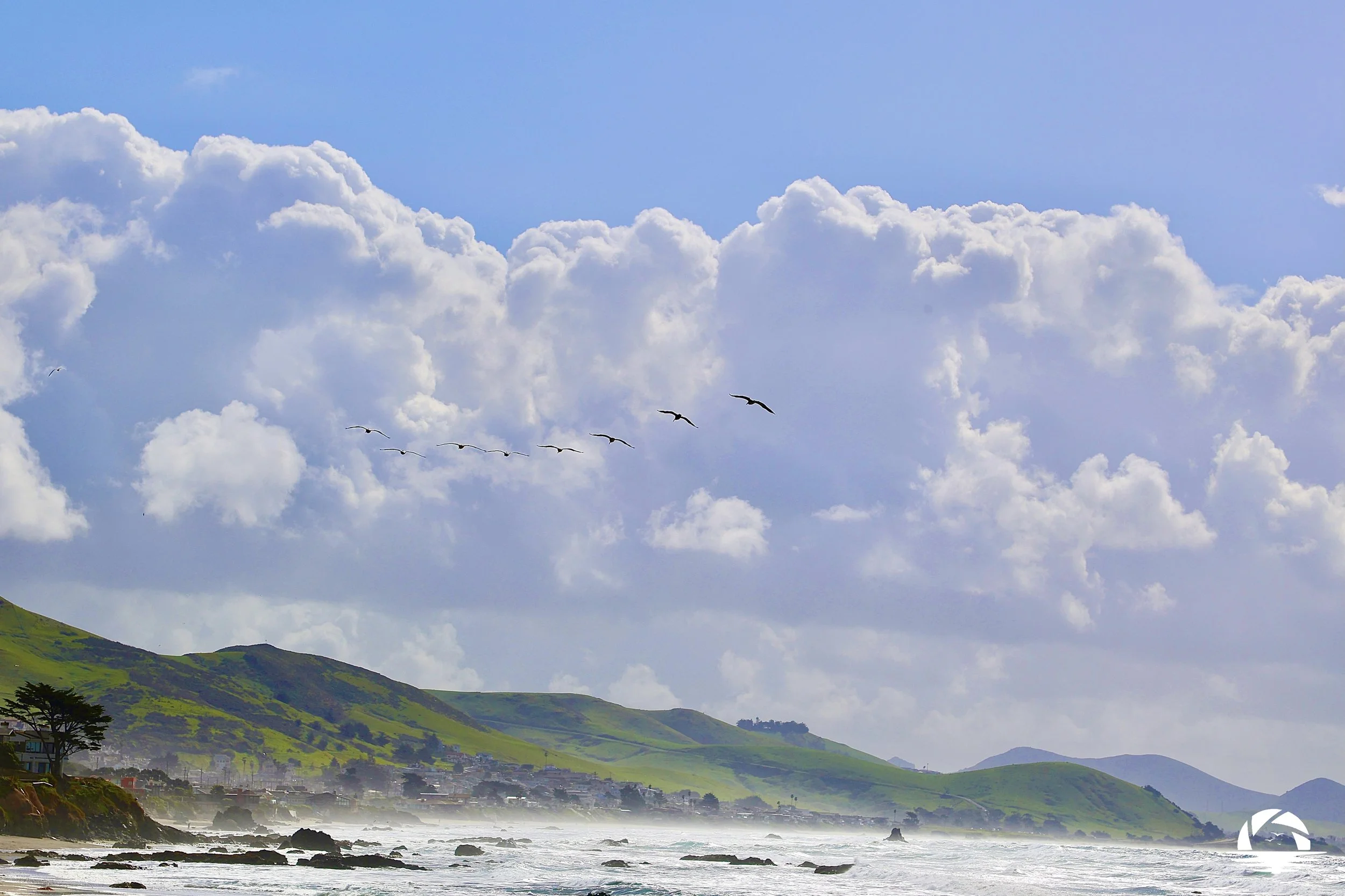 Central Coast Beach #2
