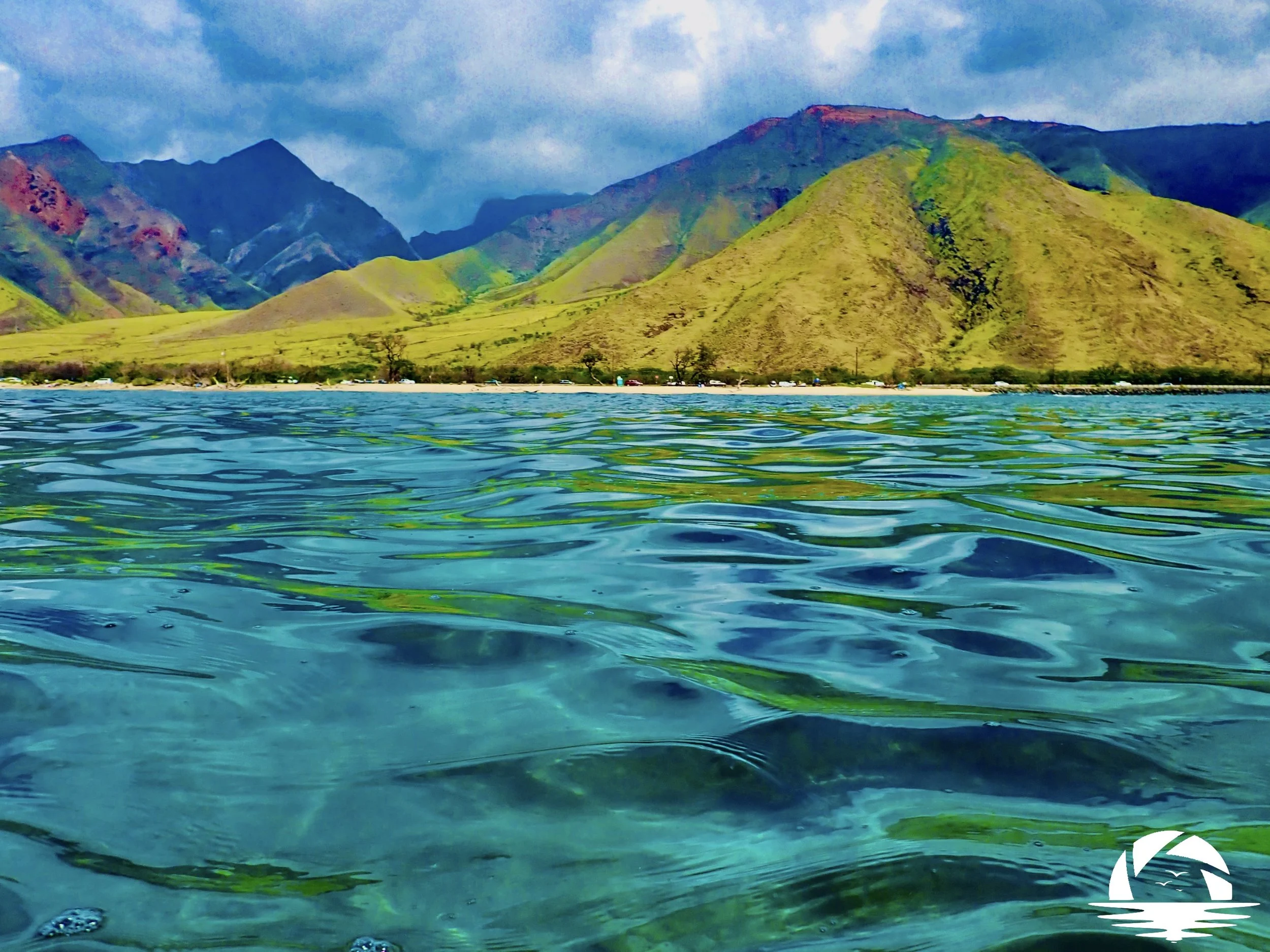 Hawaiian Beach #8
