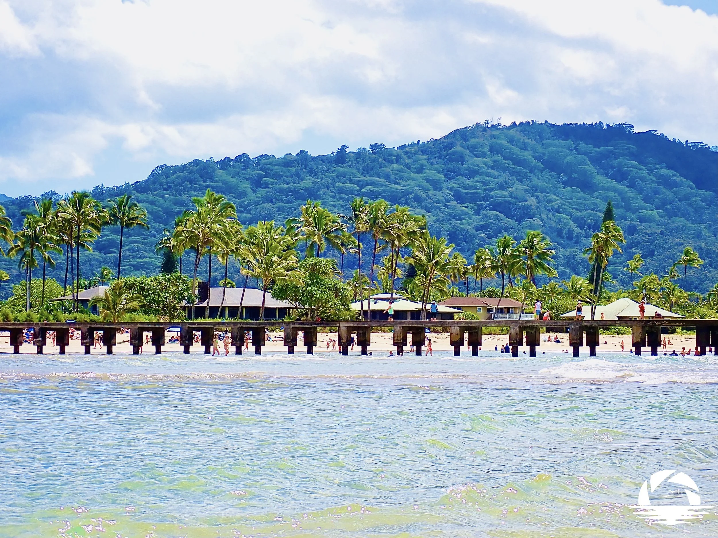 Hawaiian Beach #7