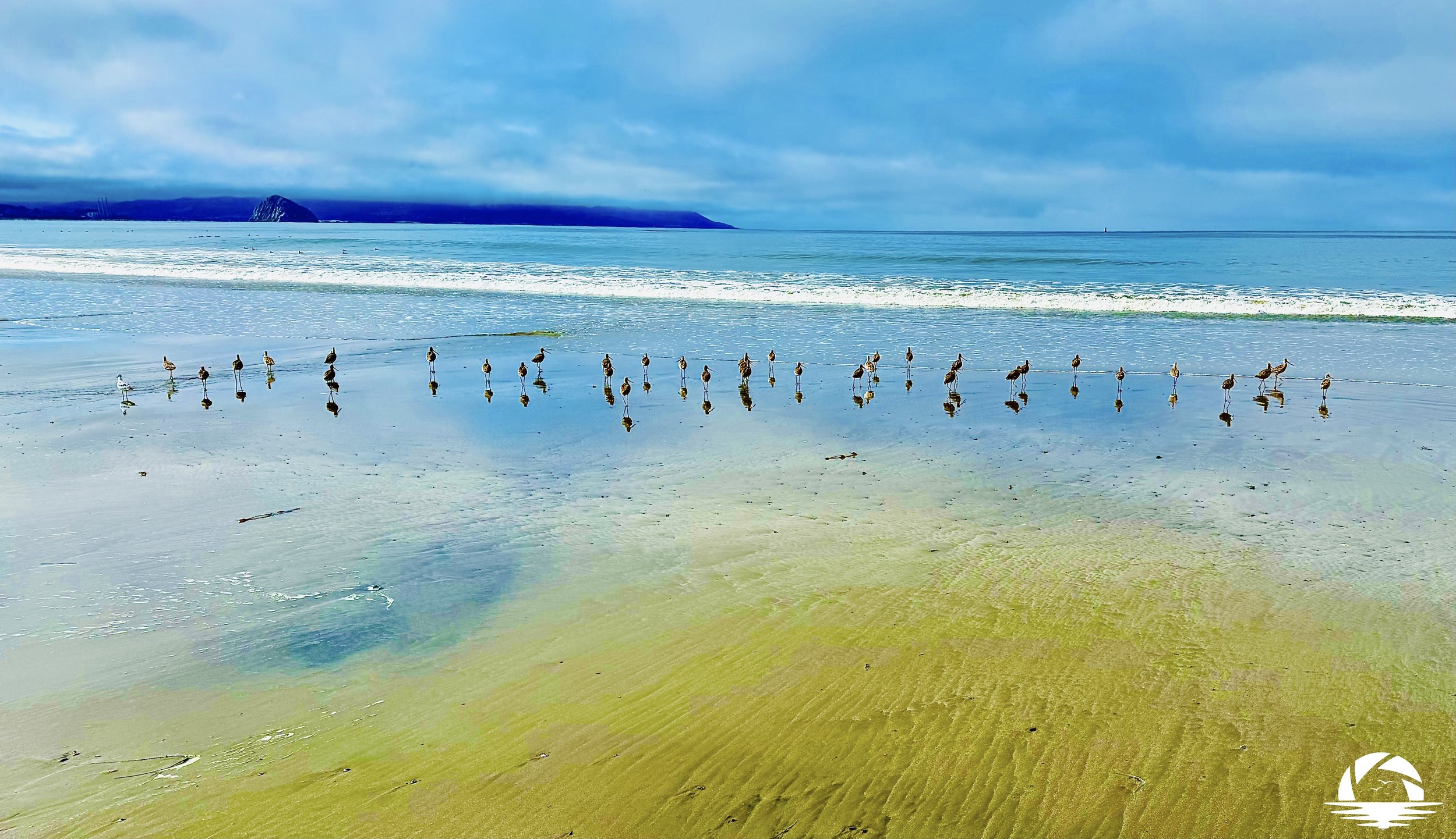 Central Coast Beach #8