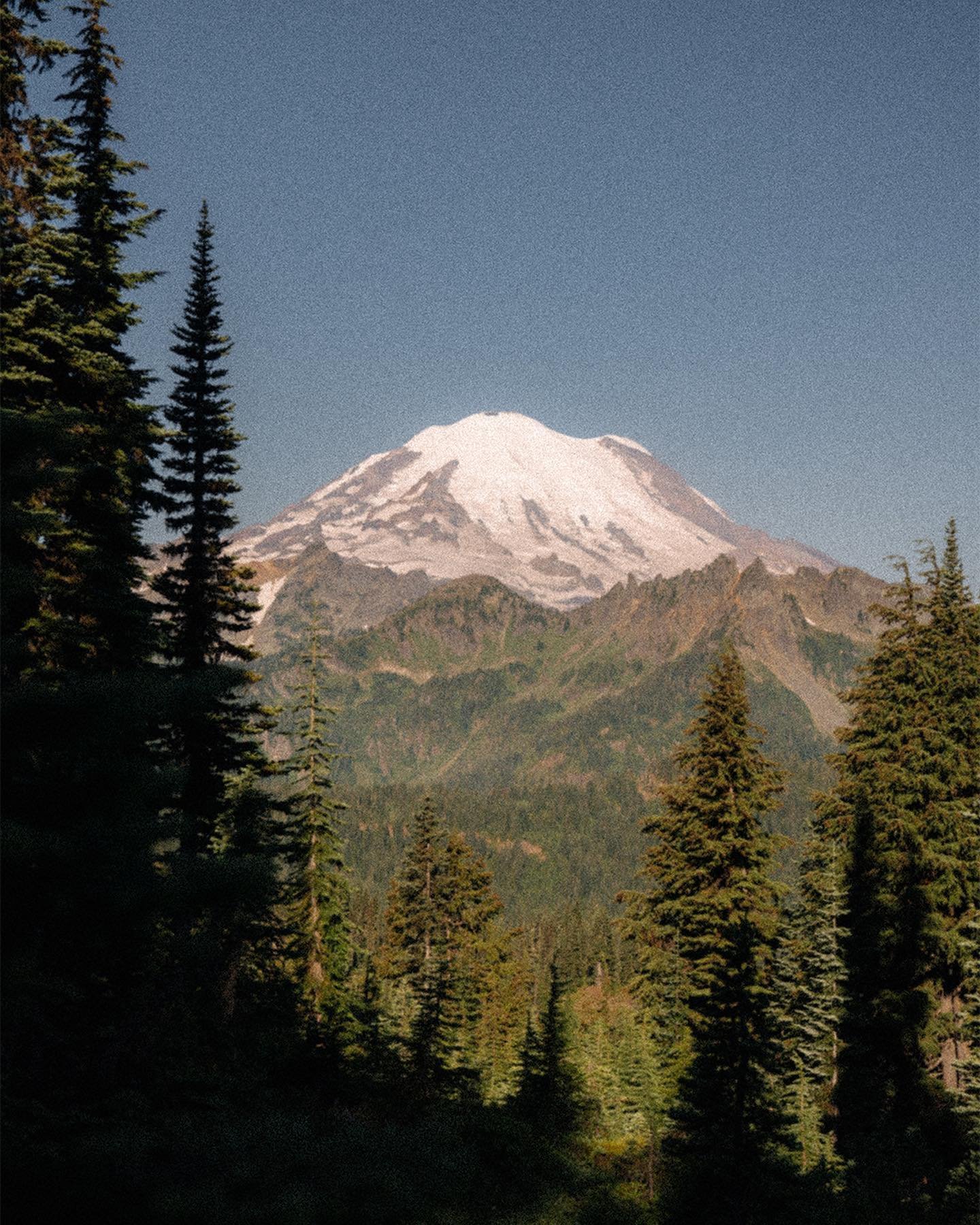 postcards from mount rainier