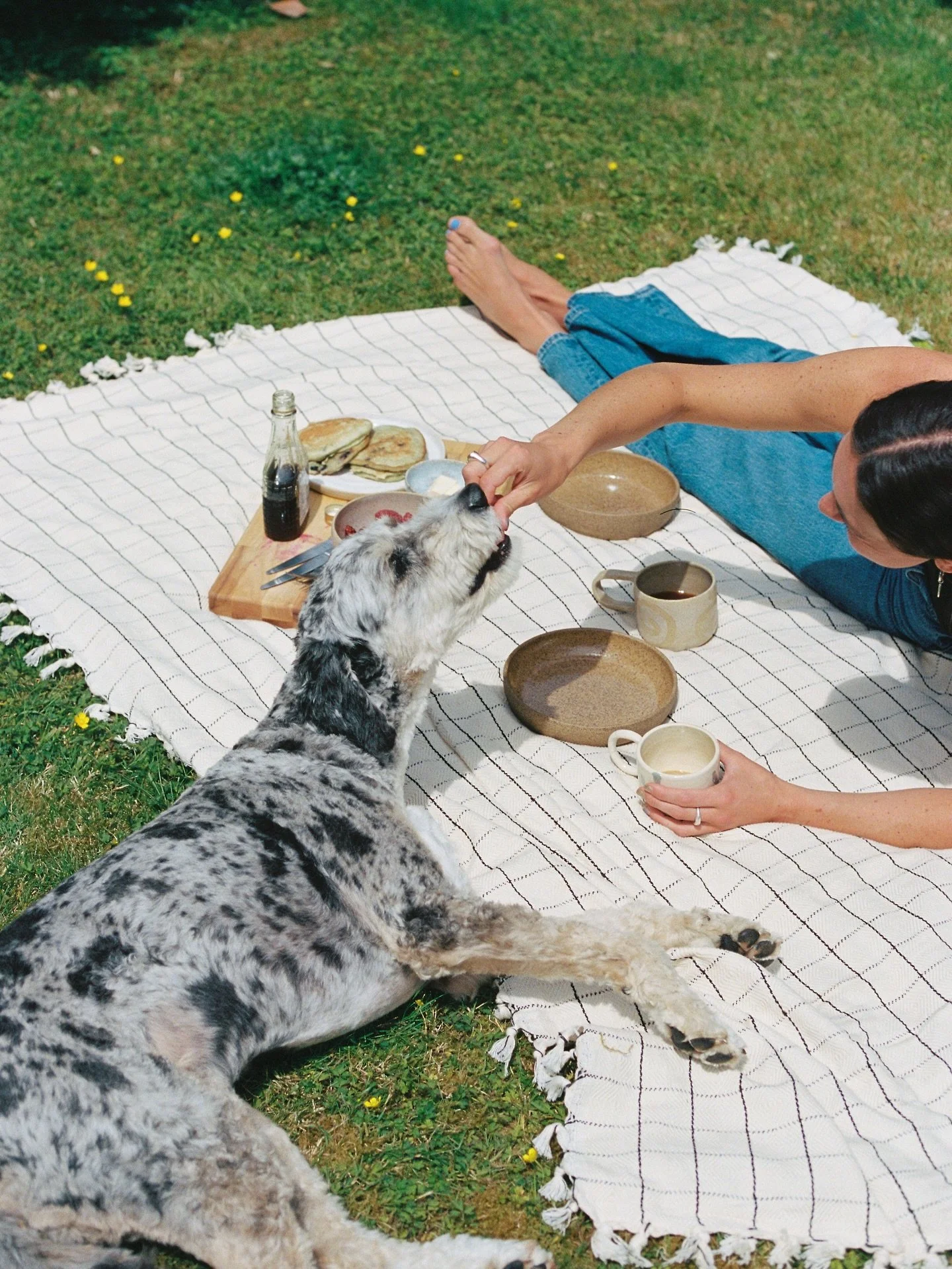 eat fruit outside season is my favourite season 
🥝🍑🫐🍉🥭🍓🍇🍒
(some summer picnics on film 🎞️)