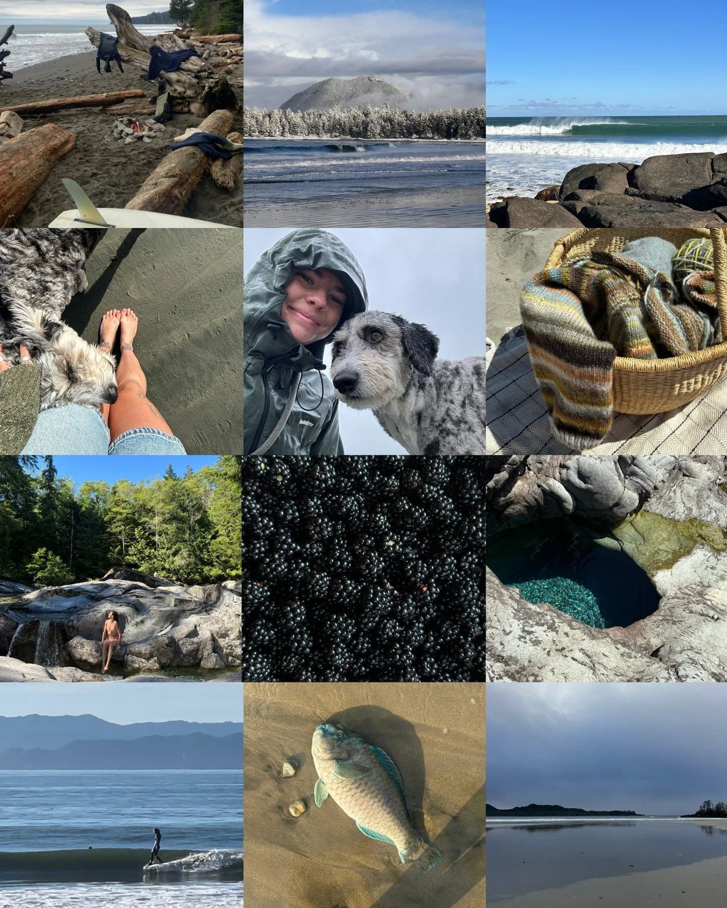 a little scroll back through the last 12 months of my phone's camera roll :-)