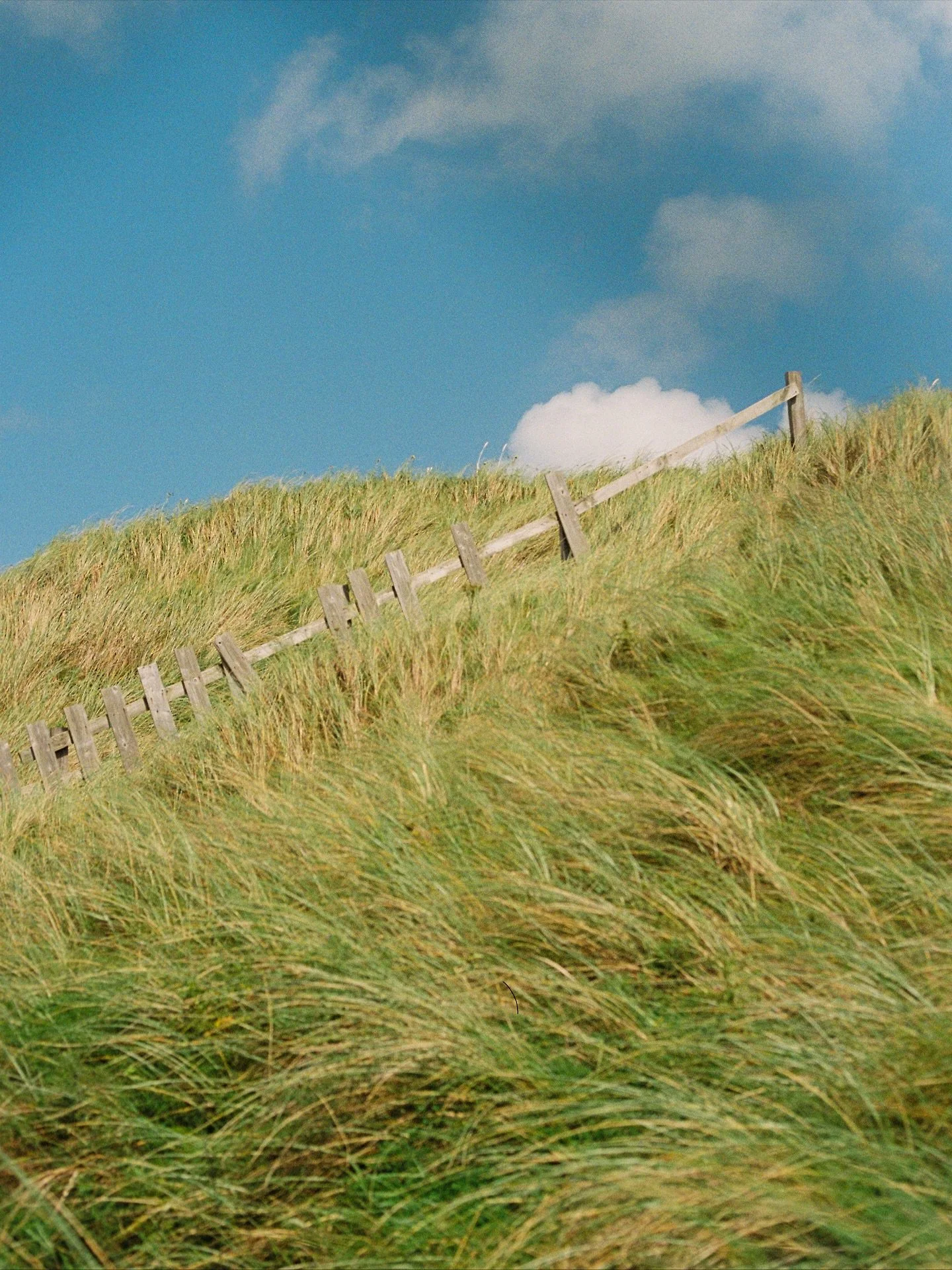 Ireland in 4 photos:

(this is the last Ireland post ok I swear)