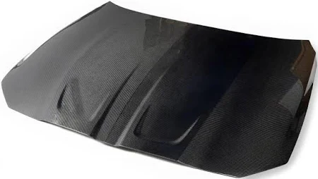 DTC WET CF G8X Hood