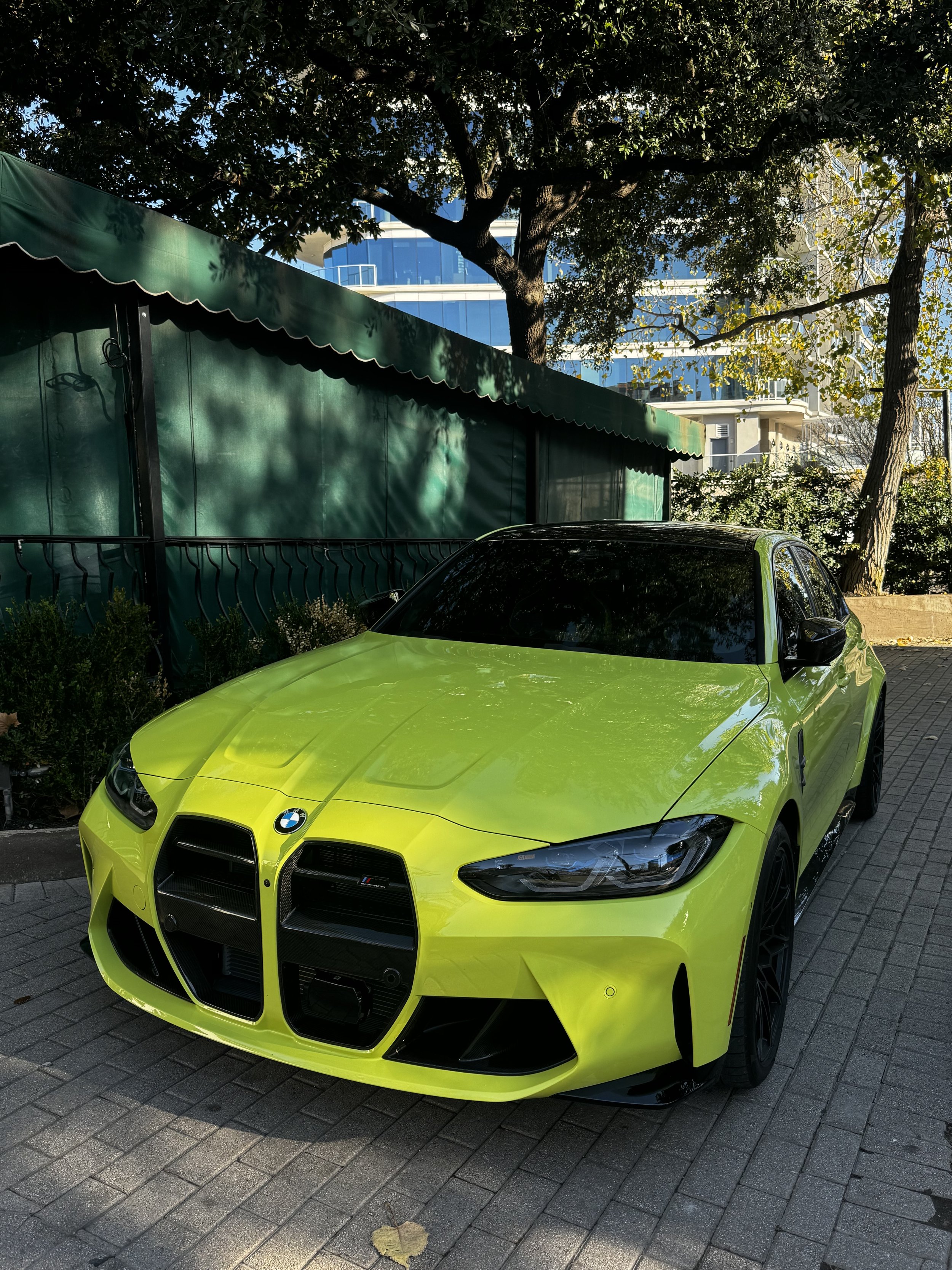 IMG_7310.jpeg