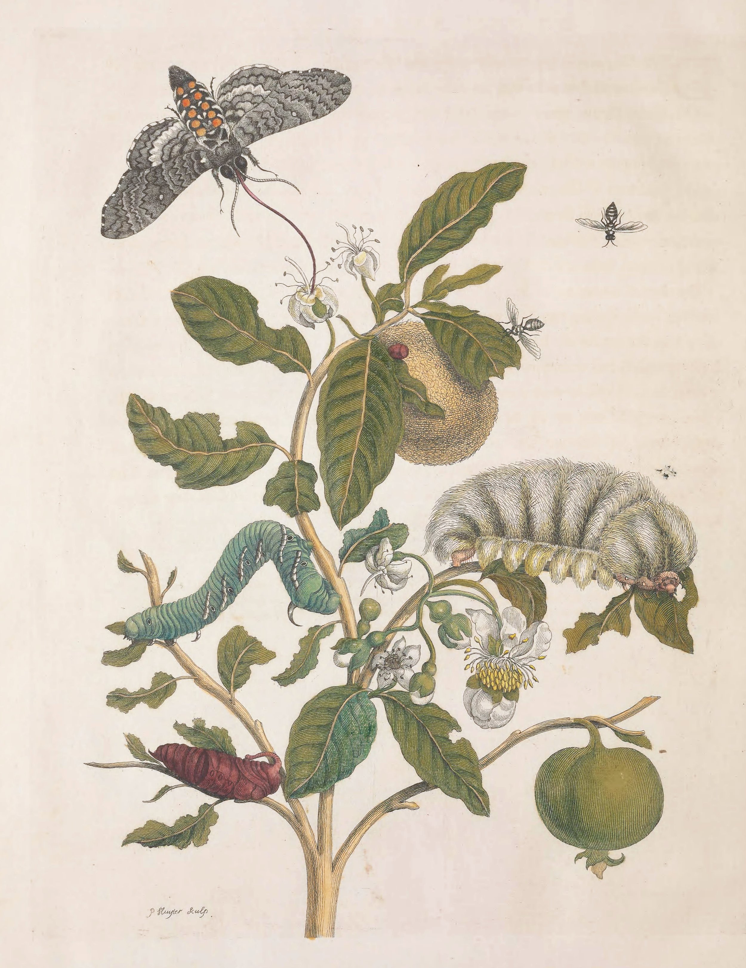 Overwintering Talk // Red River Library