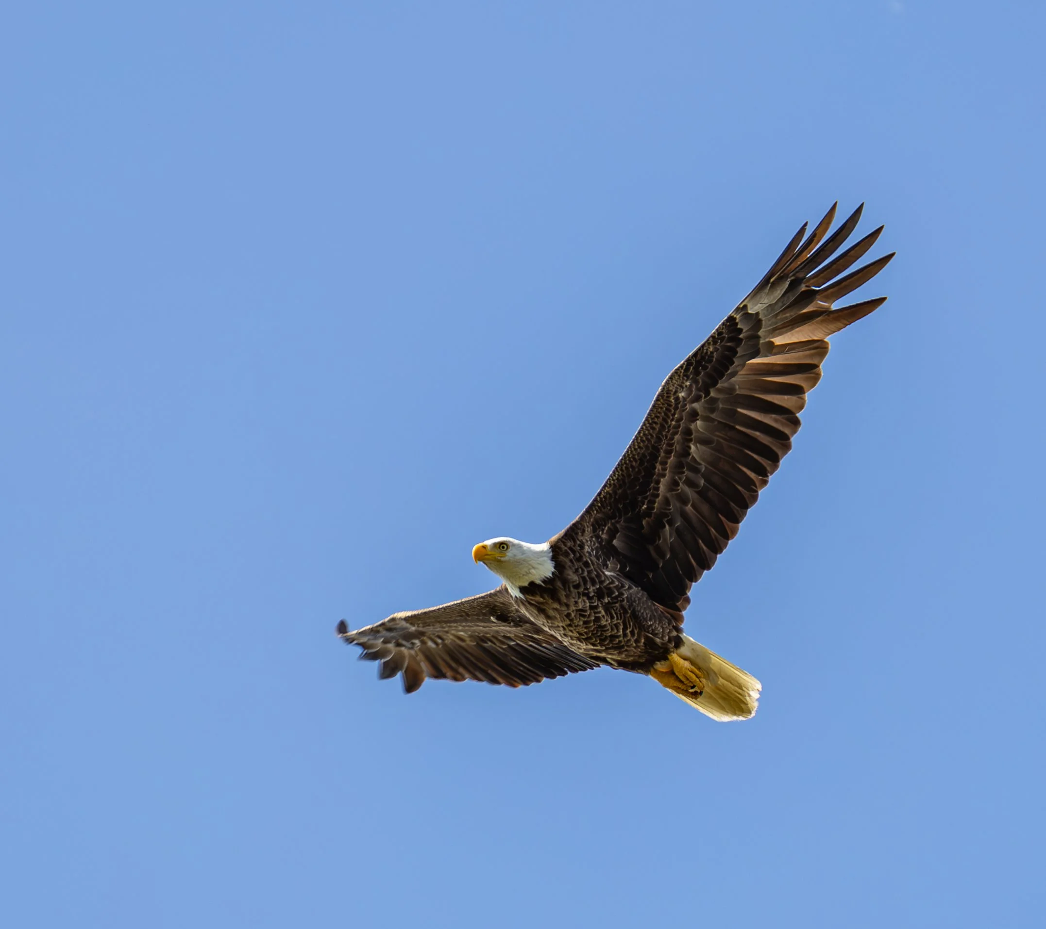 IMG_4135-Enhanced-NR.jpg