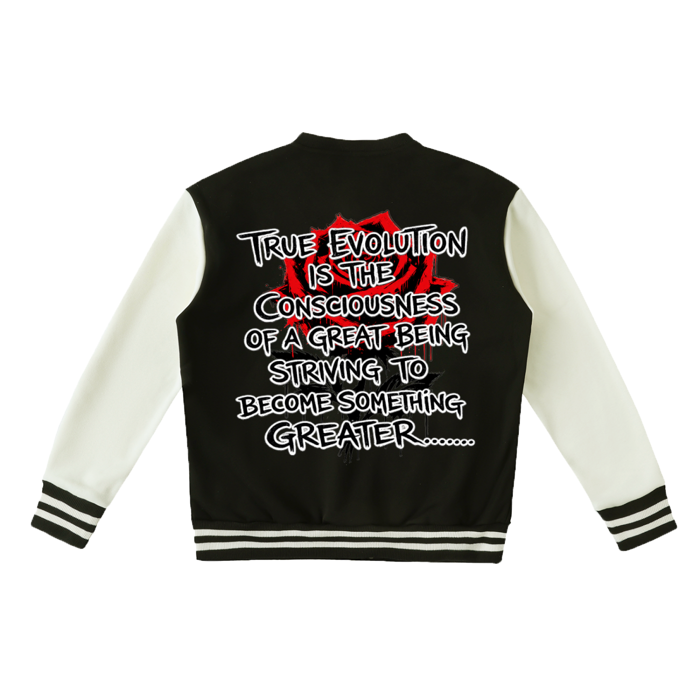 Two-Tone Fleeced Varsity Jacket-mockups-2 copy.png