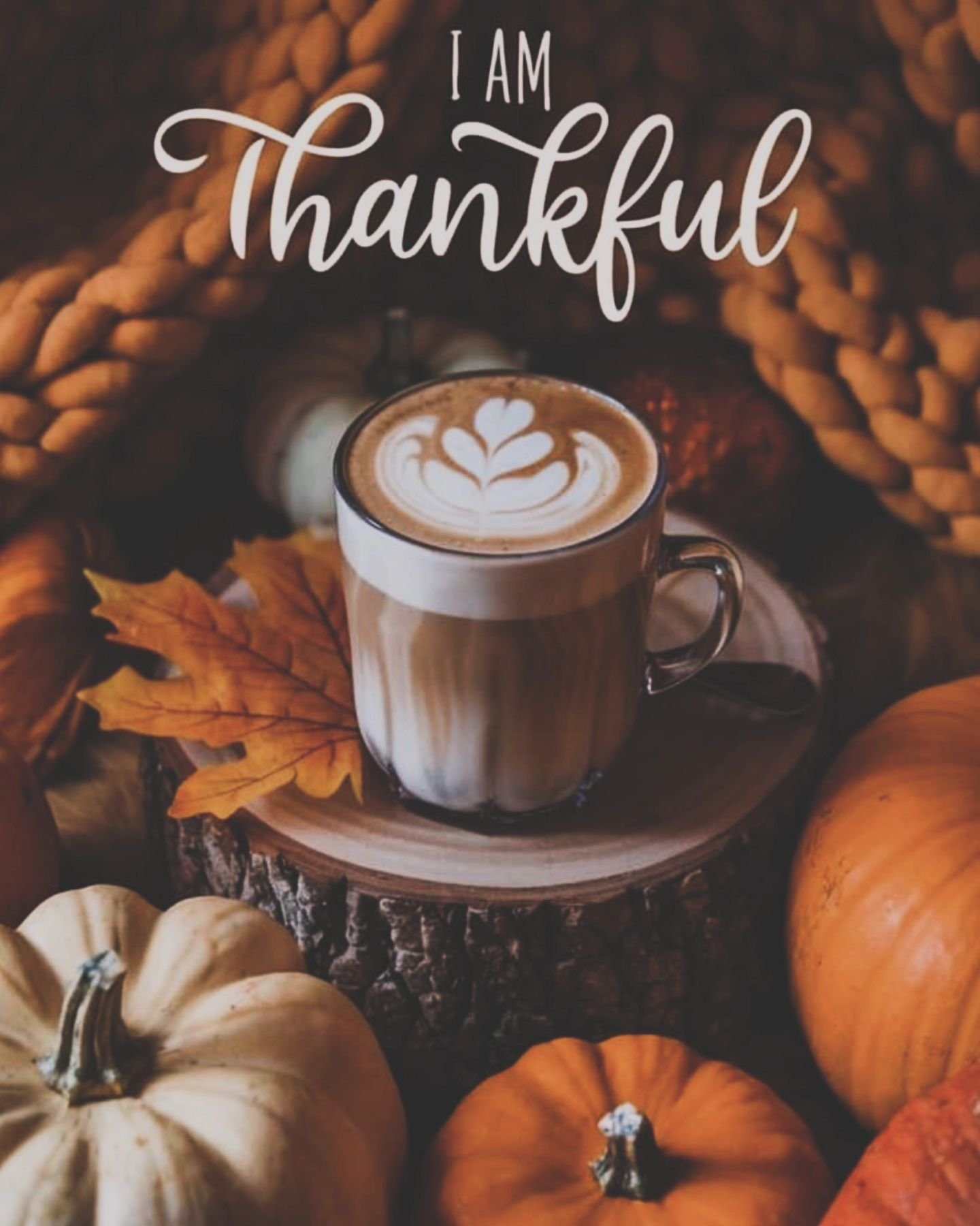 happy thanksgiving, everyone! 
I hope you all gobble till you wobble! 🦃 
I hope you all got some r&amp;r on your day off!
I hope you all get some family time in! ❣️

I am *super* thankful for all of our loyal customers today! we are fortunate to hav