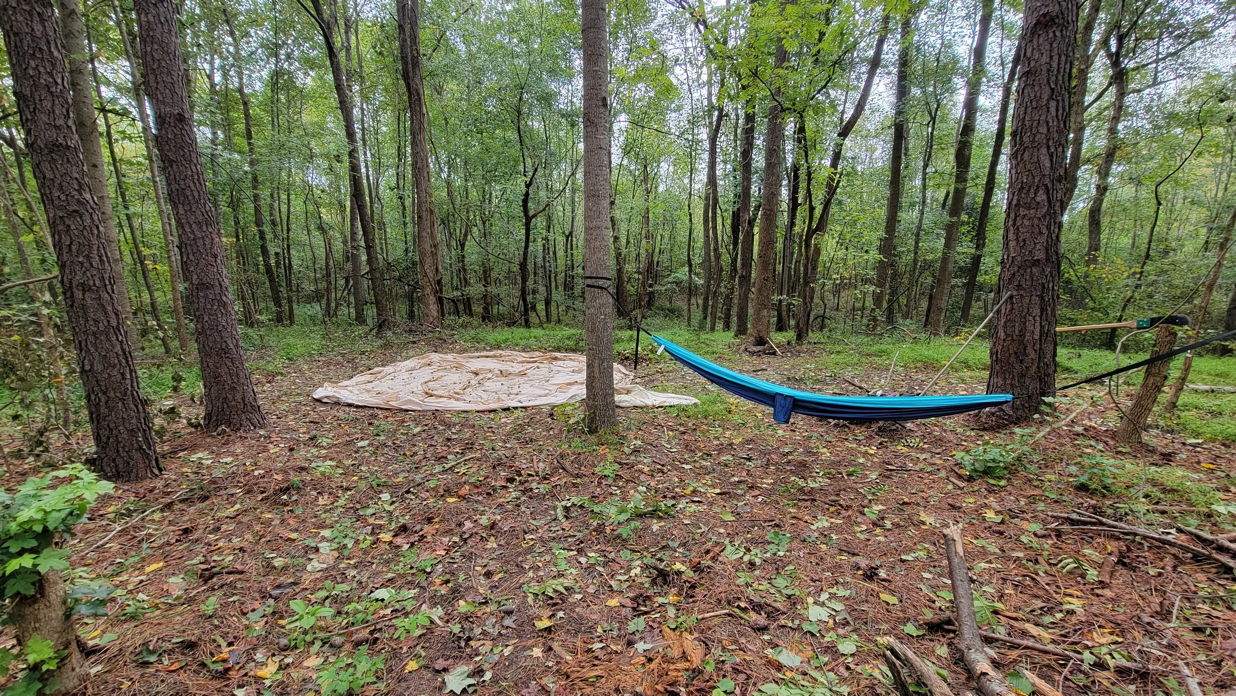 Grab your hammock and pick a spot!