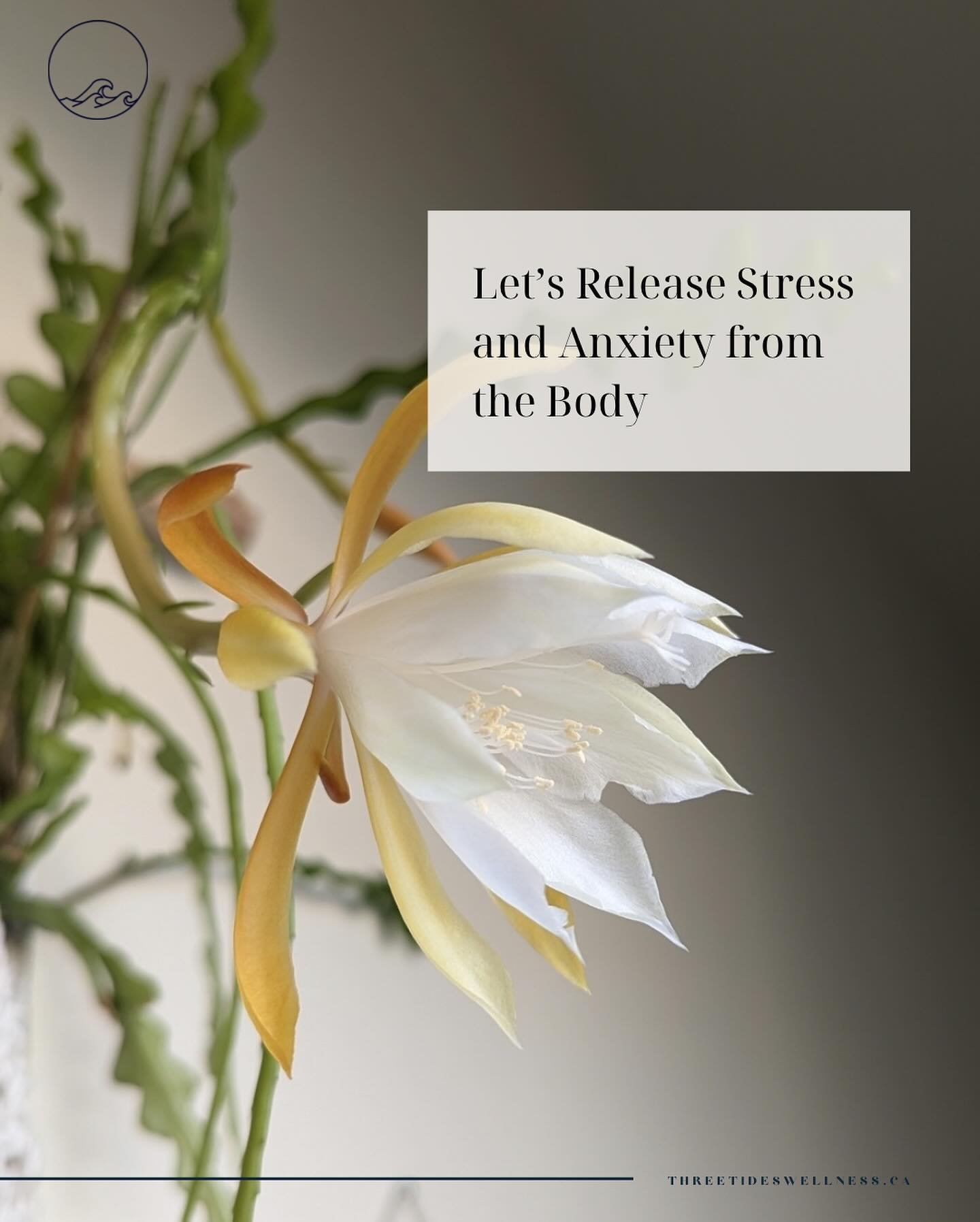 🌟 Weekend Wellness Reminder 🌟

Whether you&rsquo;re chilling at home or out and about, take a moment to release some of the stress and anxiety we often hold in our bodies. 

Stress and anxiety can really take a toll on both our minds and bodies. Th