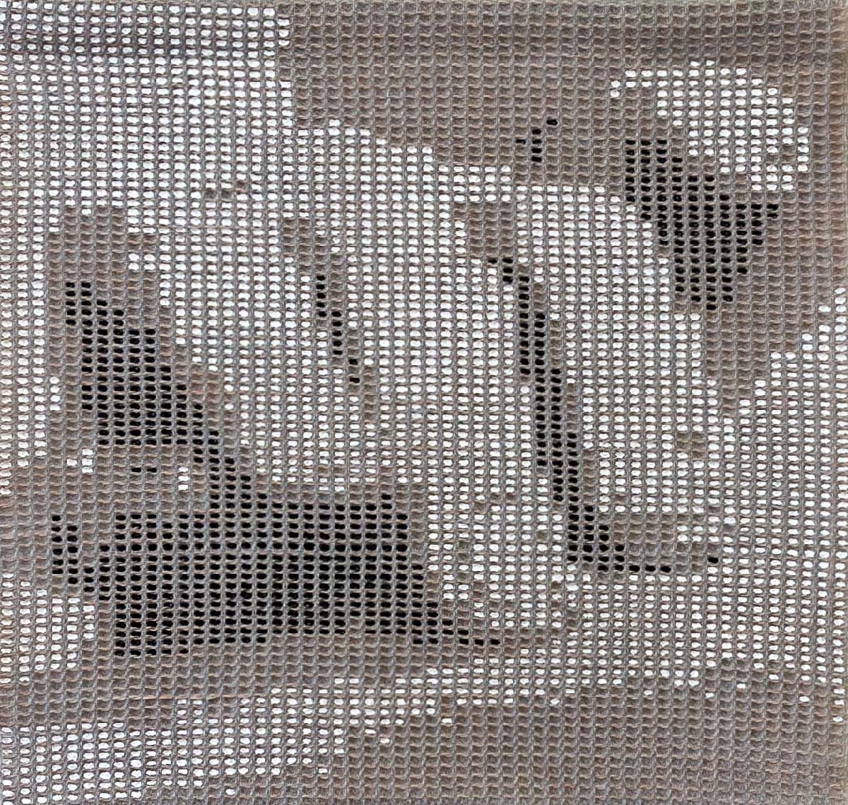 Tactile Cells, 2024, Handwoven wool with acrylic pigments, textile by Jaya Griscom