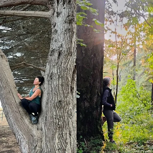 Introduction to Walking Wild Fall Journey