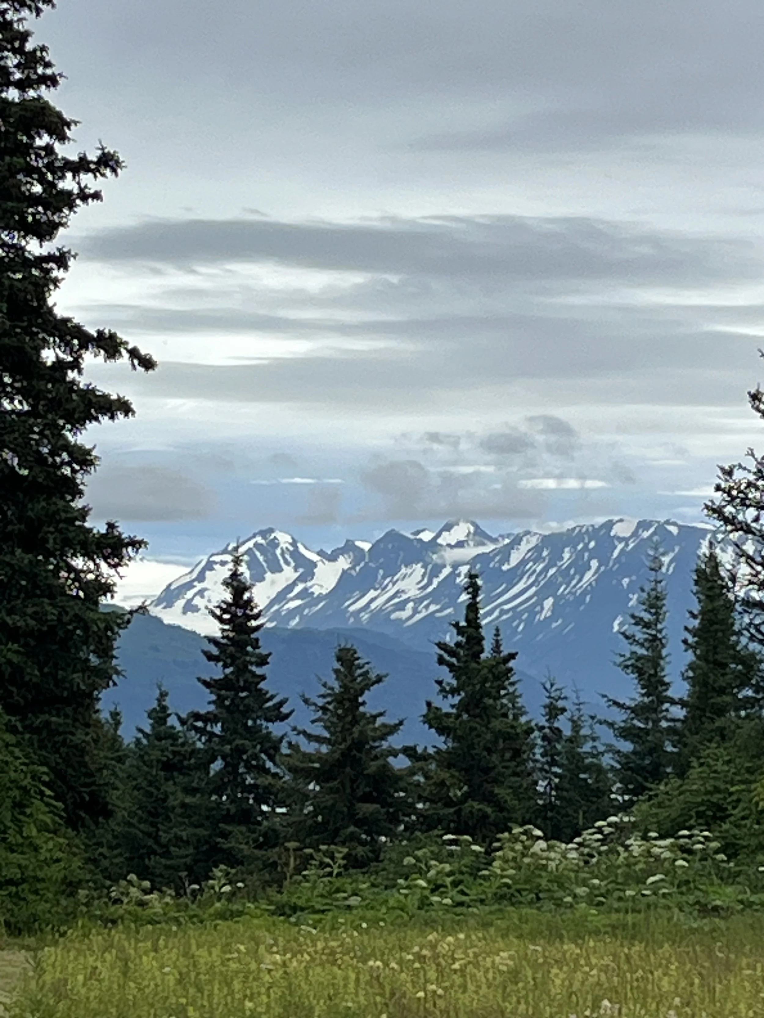 Listening Circle Training (online)