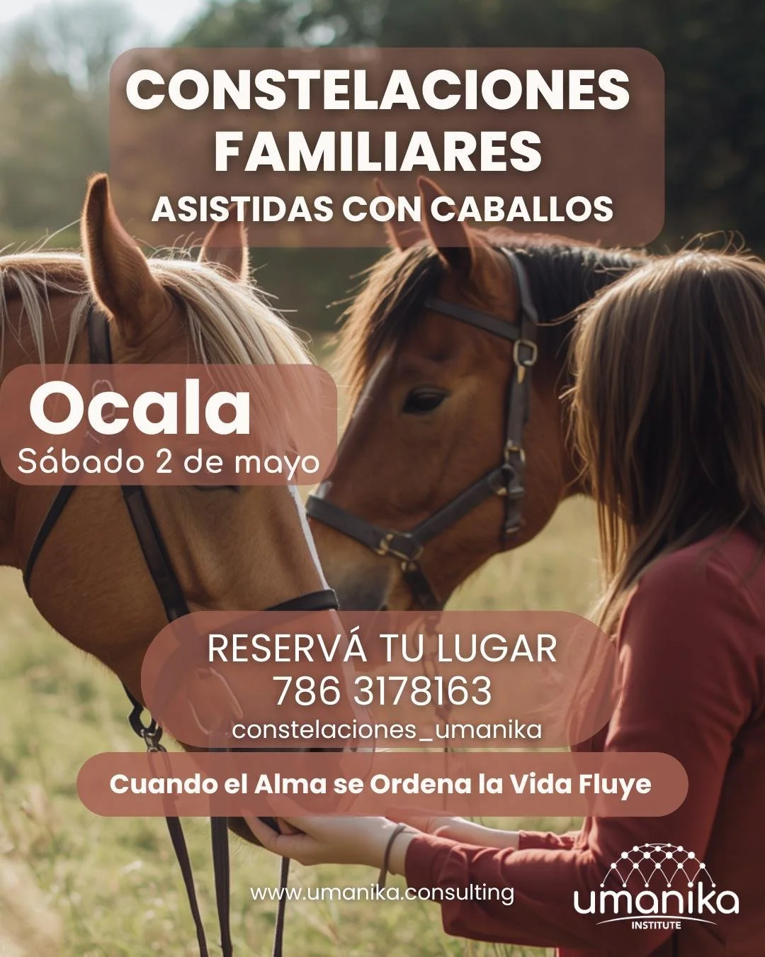 WhatsApp Image 2026-04-14 at 5.04.52 PM.jpeg