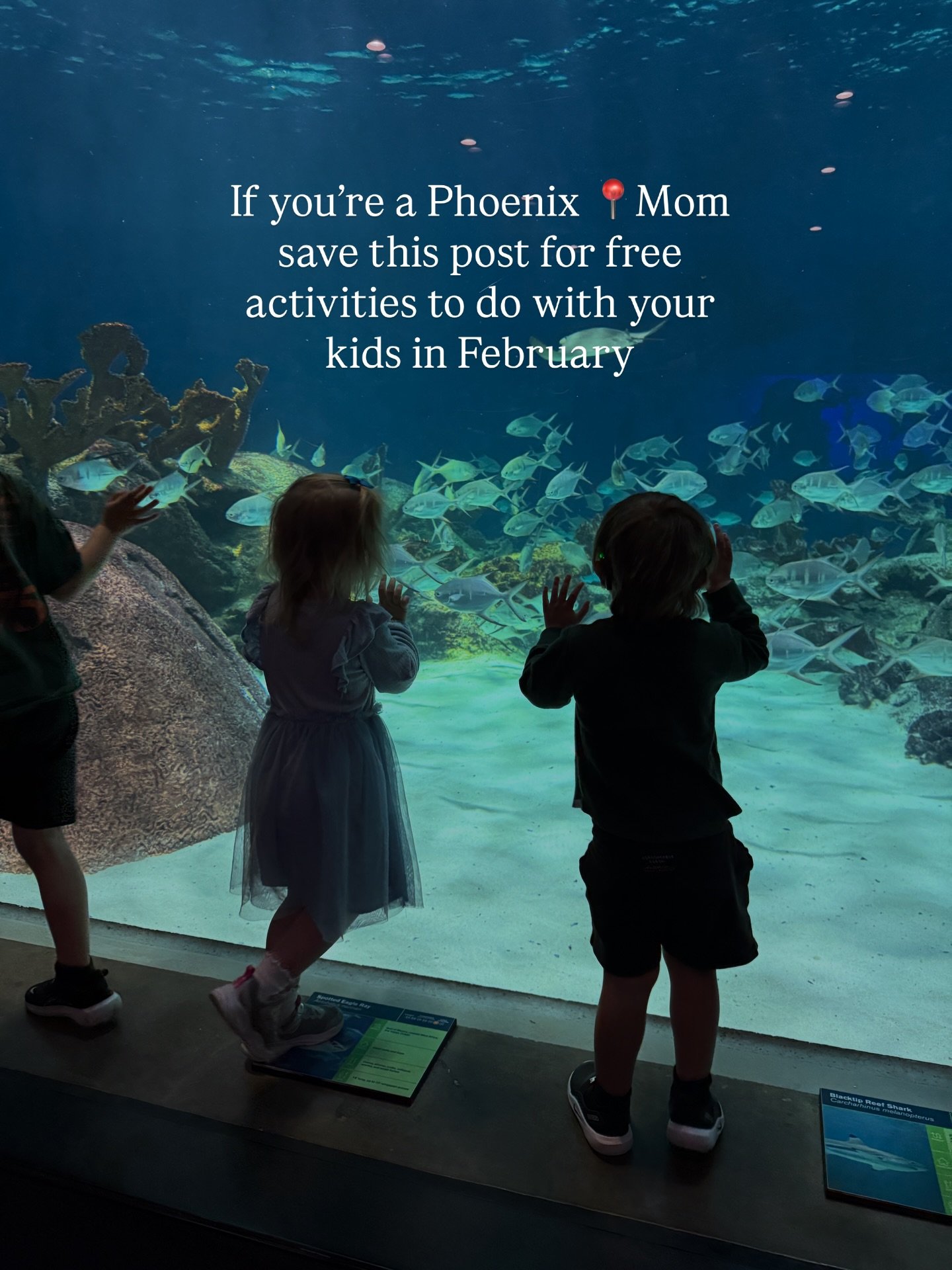 Free local activities to do with your kids in February!

If you&rsquo;re a Phoenix / Scottsdale mom save this post for free things to do with kids.