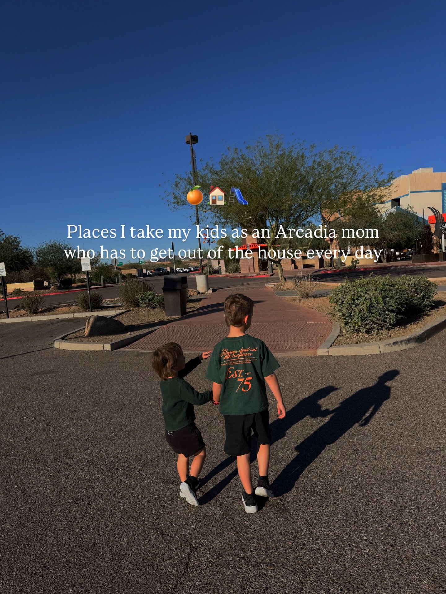 My very honest review of places to take your kids if you live in Phoenix/Scottsdale/Arcadia 

#arcadiarealtor #phoenixrealtor