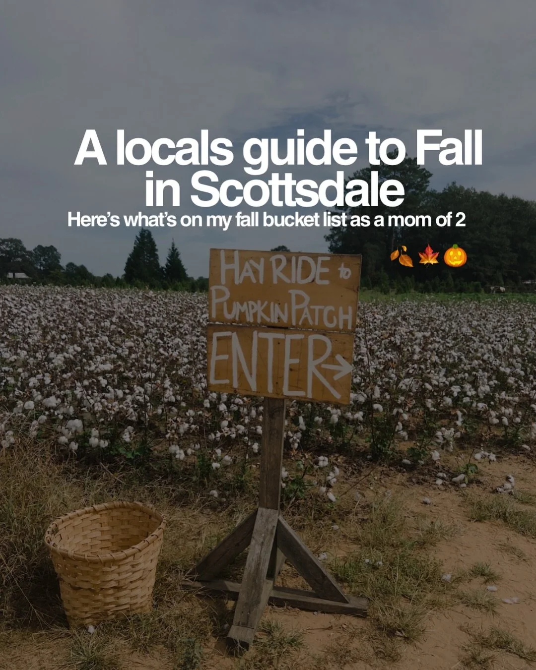 A locals guide to &ldquo;fall&rdquo; in Scottsdale, AZ 

Comment &ldquo;fall&rdquo; for our full fall bucket list!