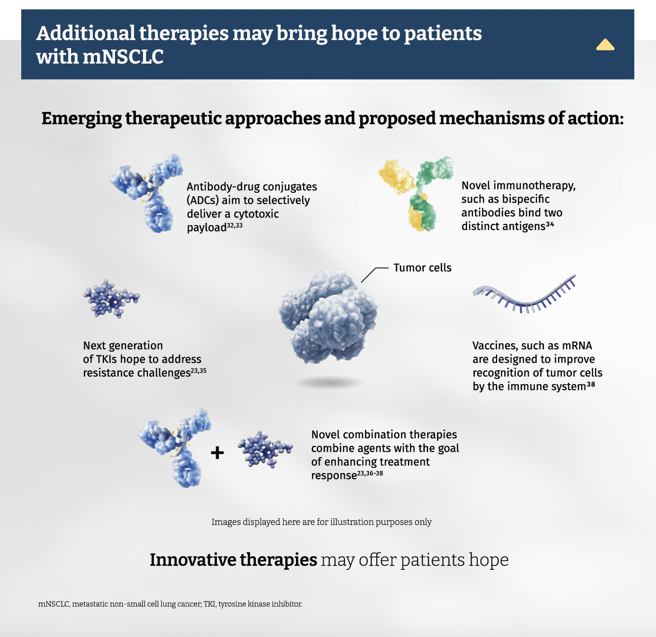 Screenshot 2023-08-24 at 11.37.19 AM.png