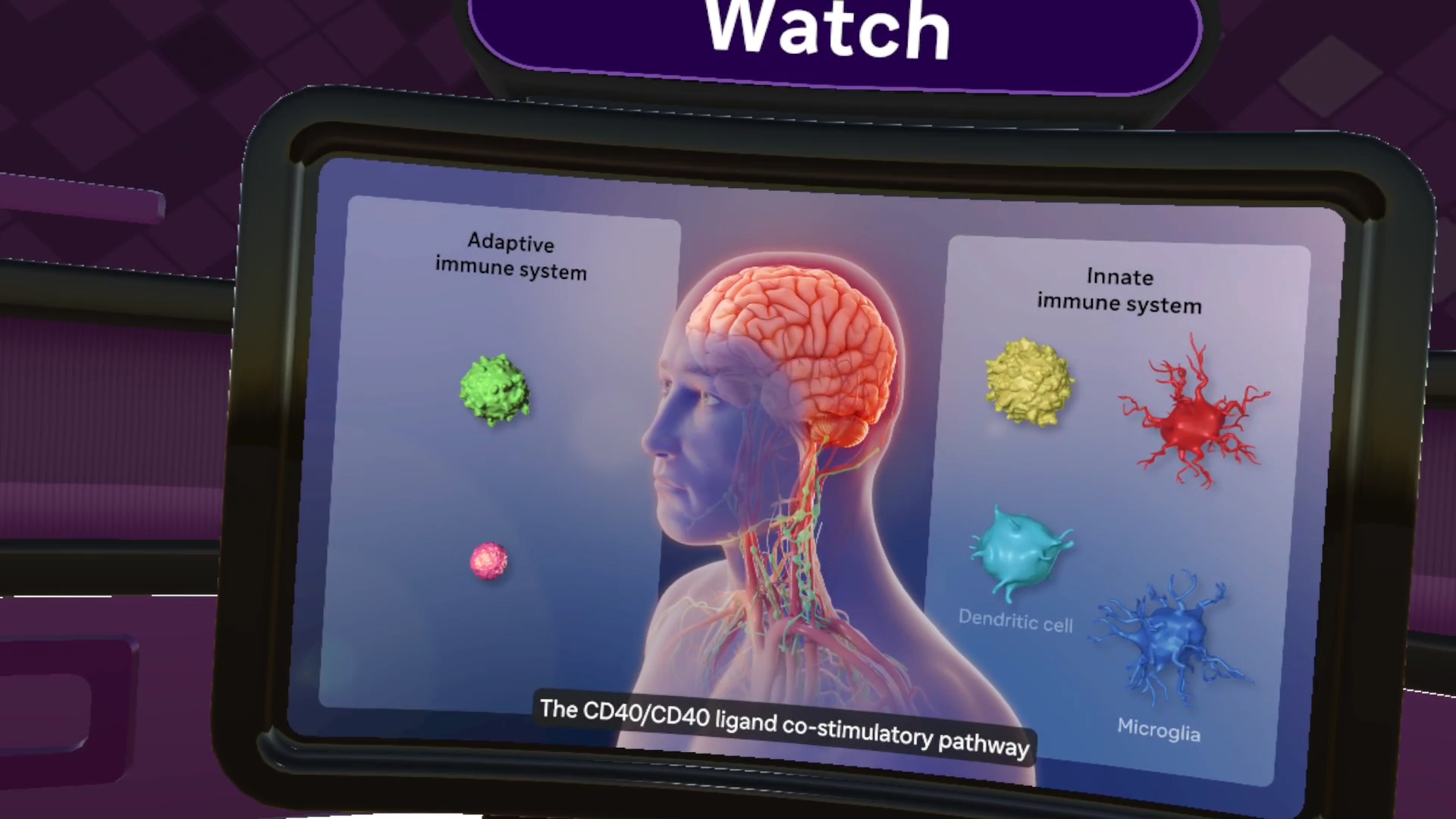 videoframe_227488_Frexa MS video Innate and Adaptive.png