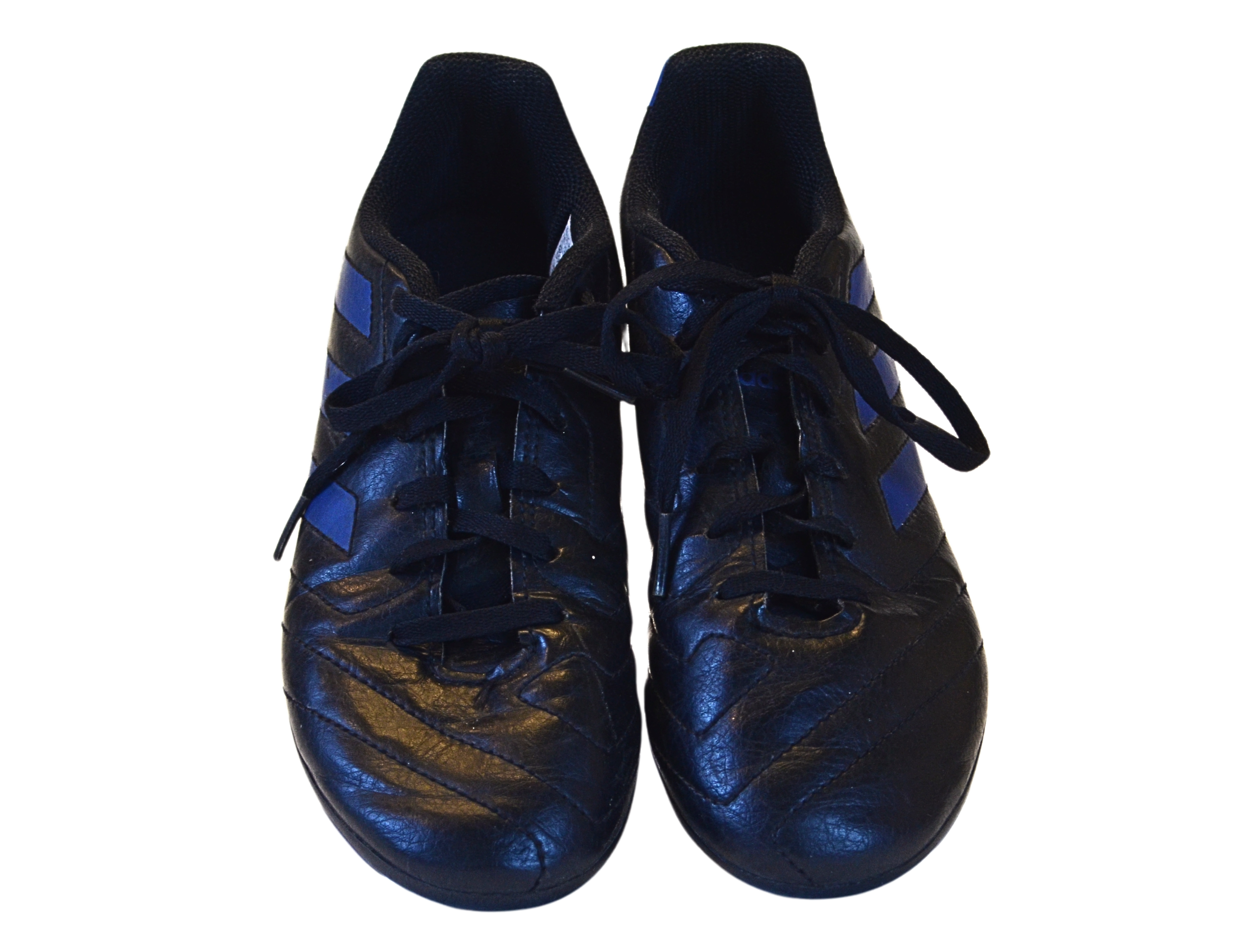 DSC_0015 - Edited-5.png